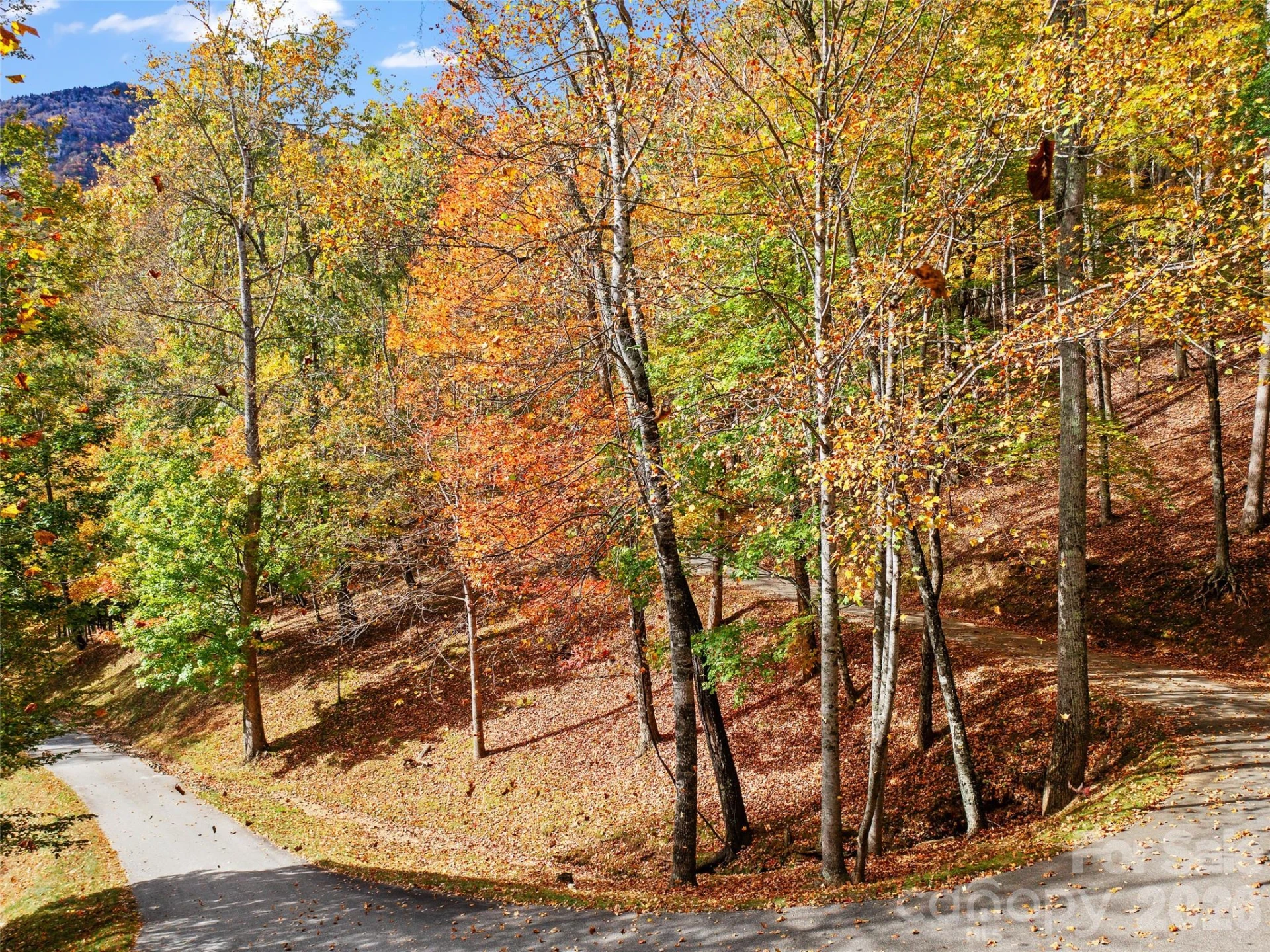 42 Hickory Springs Road #42 - Photo 27