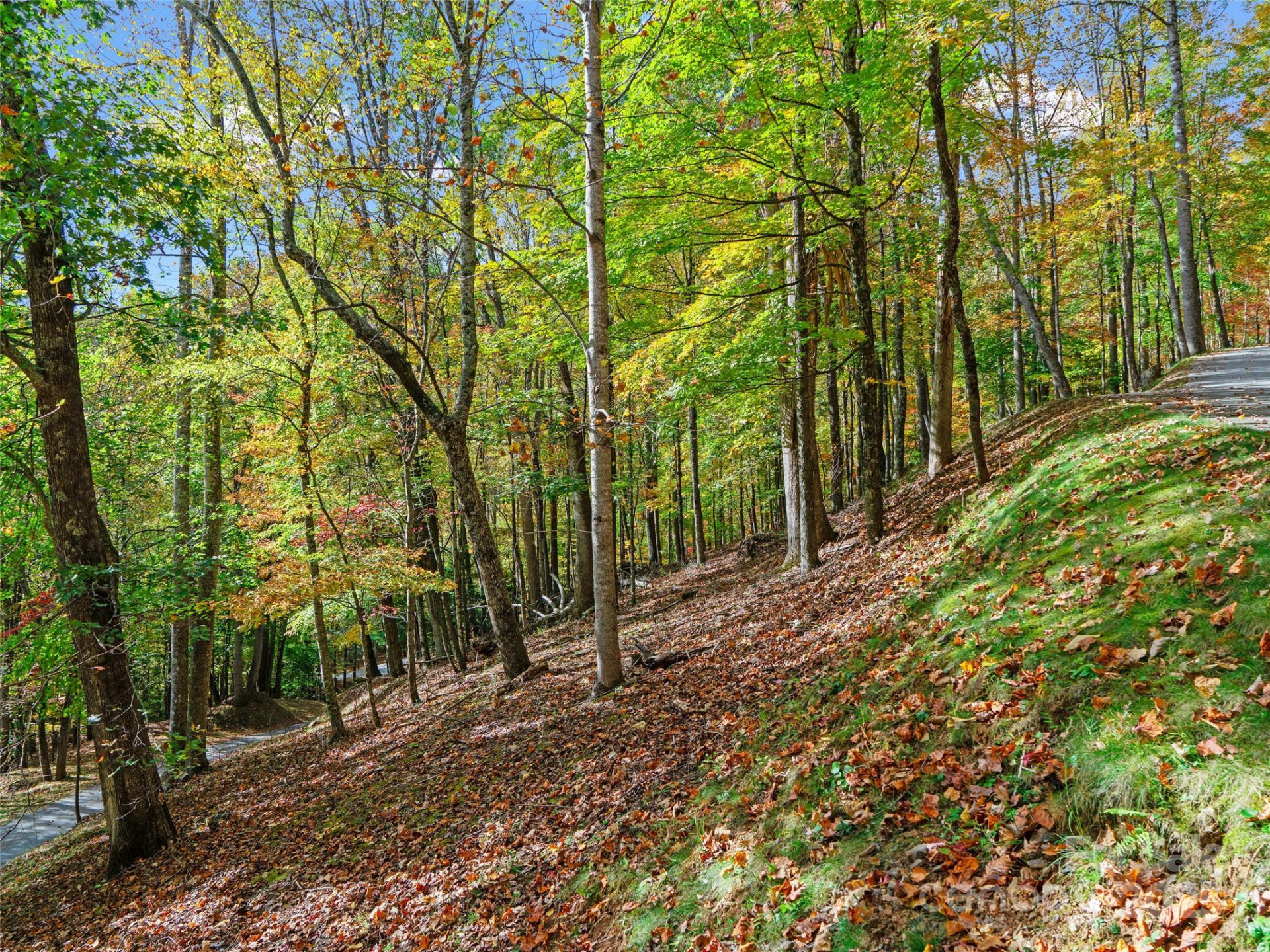 42 Hickory Springs Road #42 - Photo 16