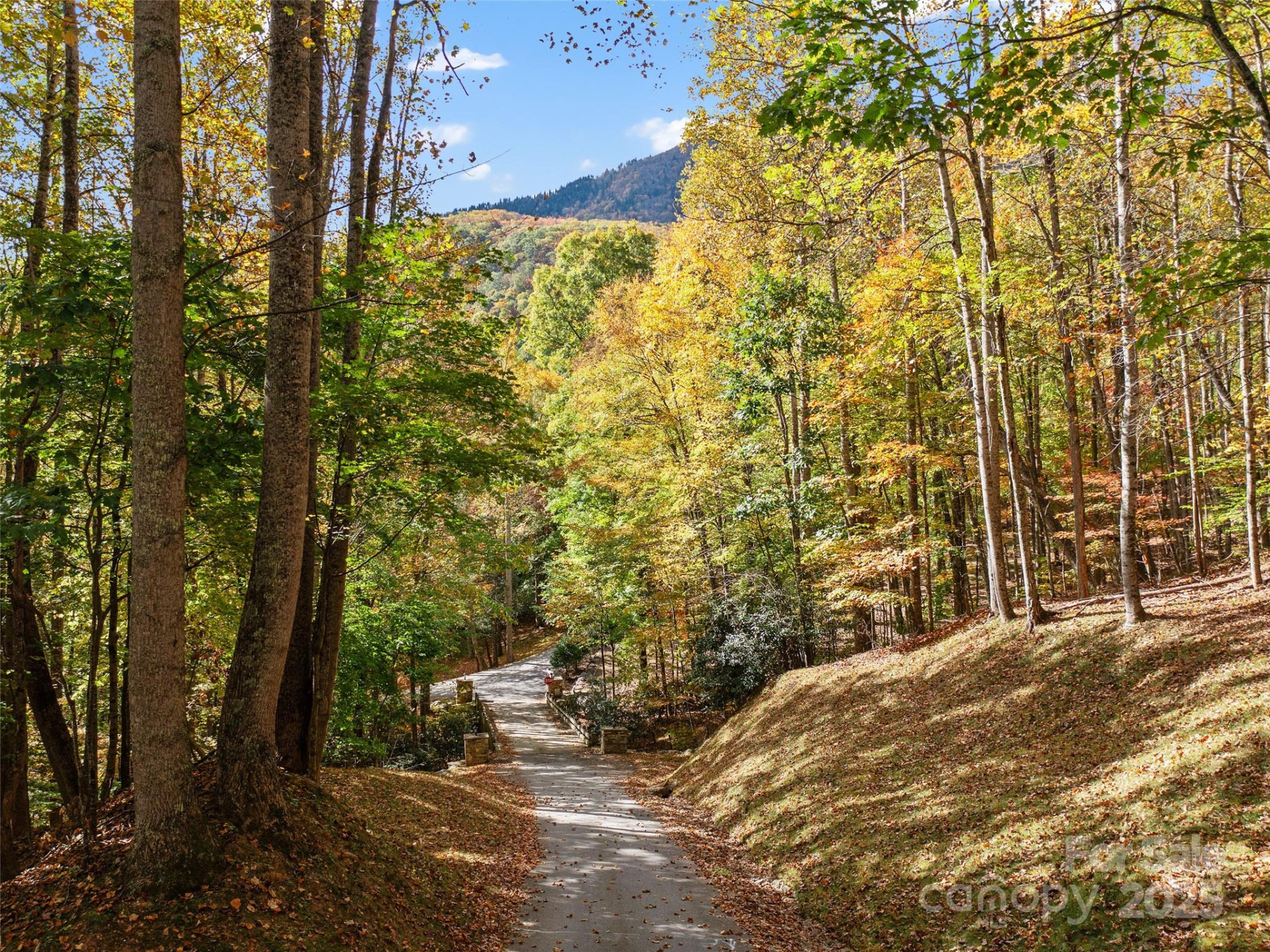 42 Hickory Springs Road #42 - Photo 18