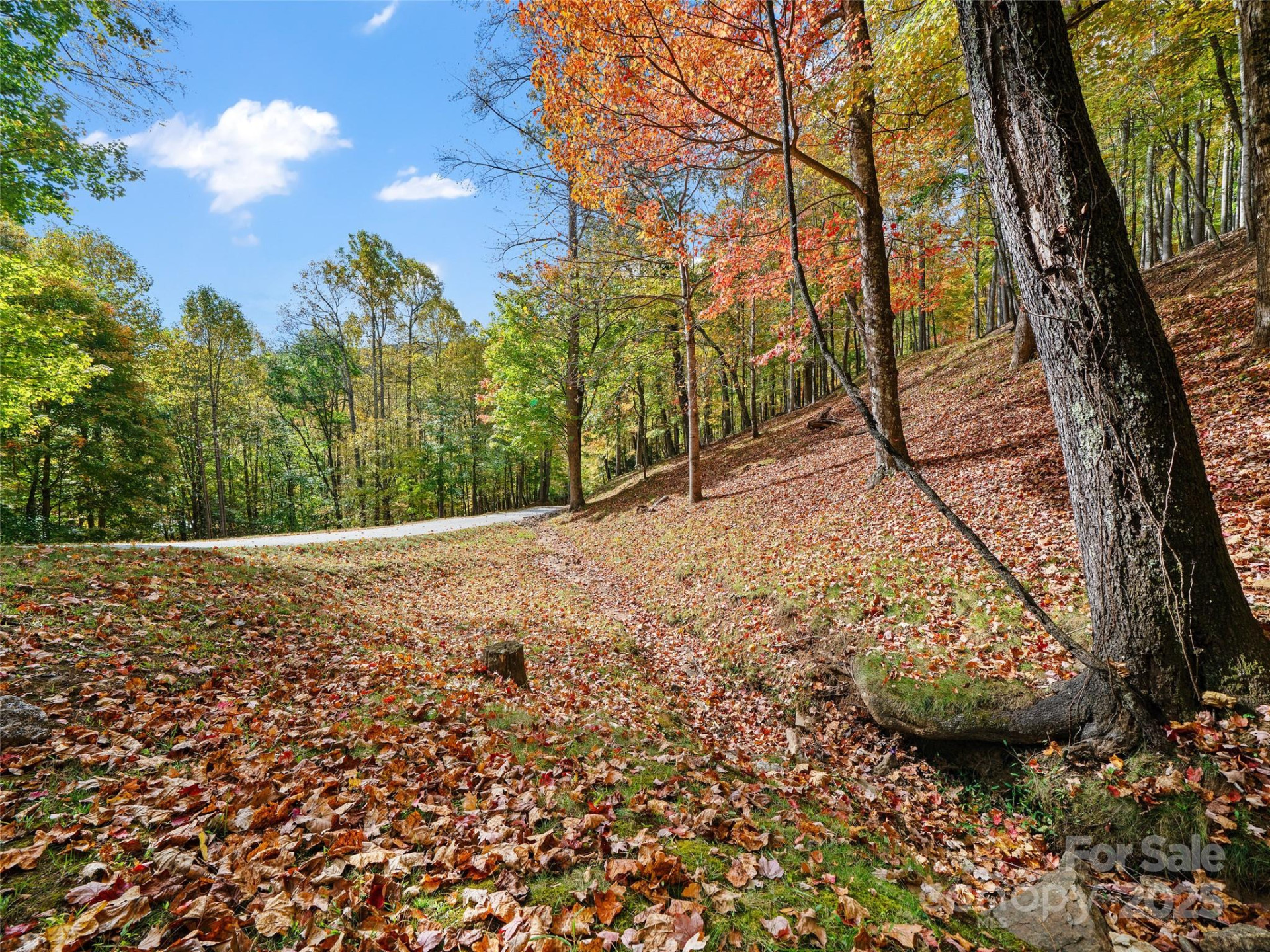 42 Hickory Springs Road #42 - Photo 19