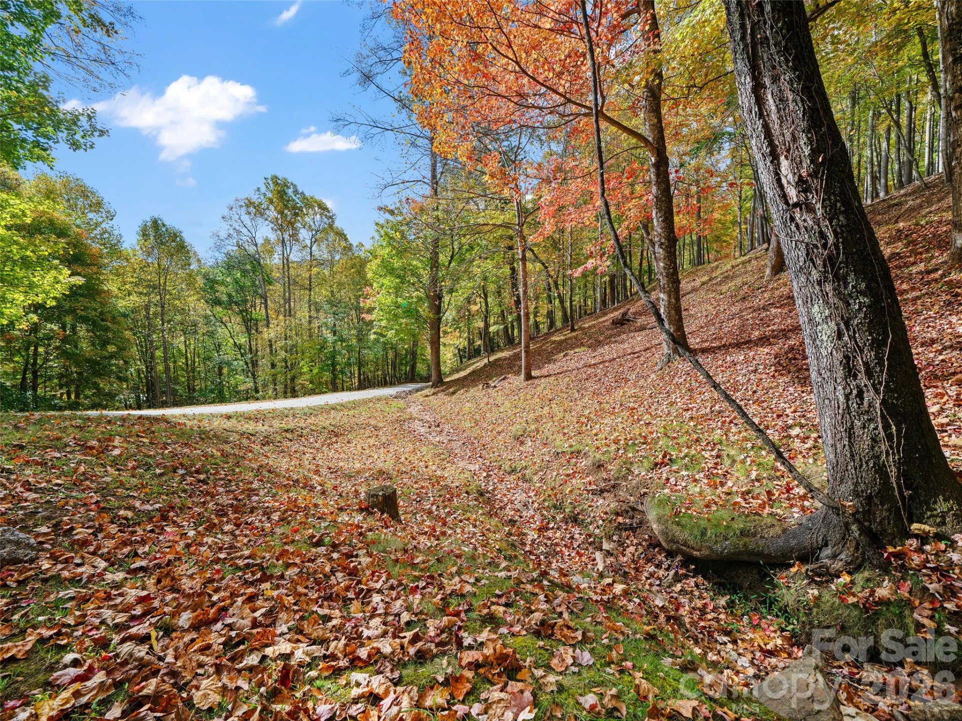 42 Hickory Springs Road #42 - Photo 39