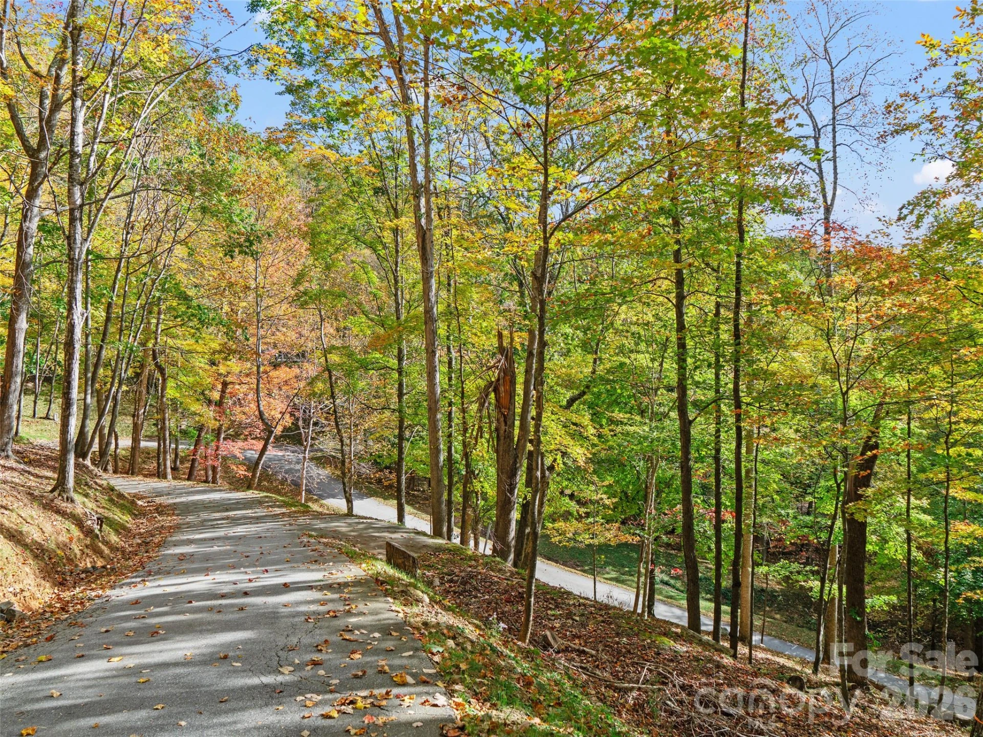 42 Hickory Springs Road #42 - Photo 5