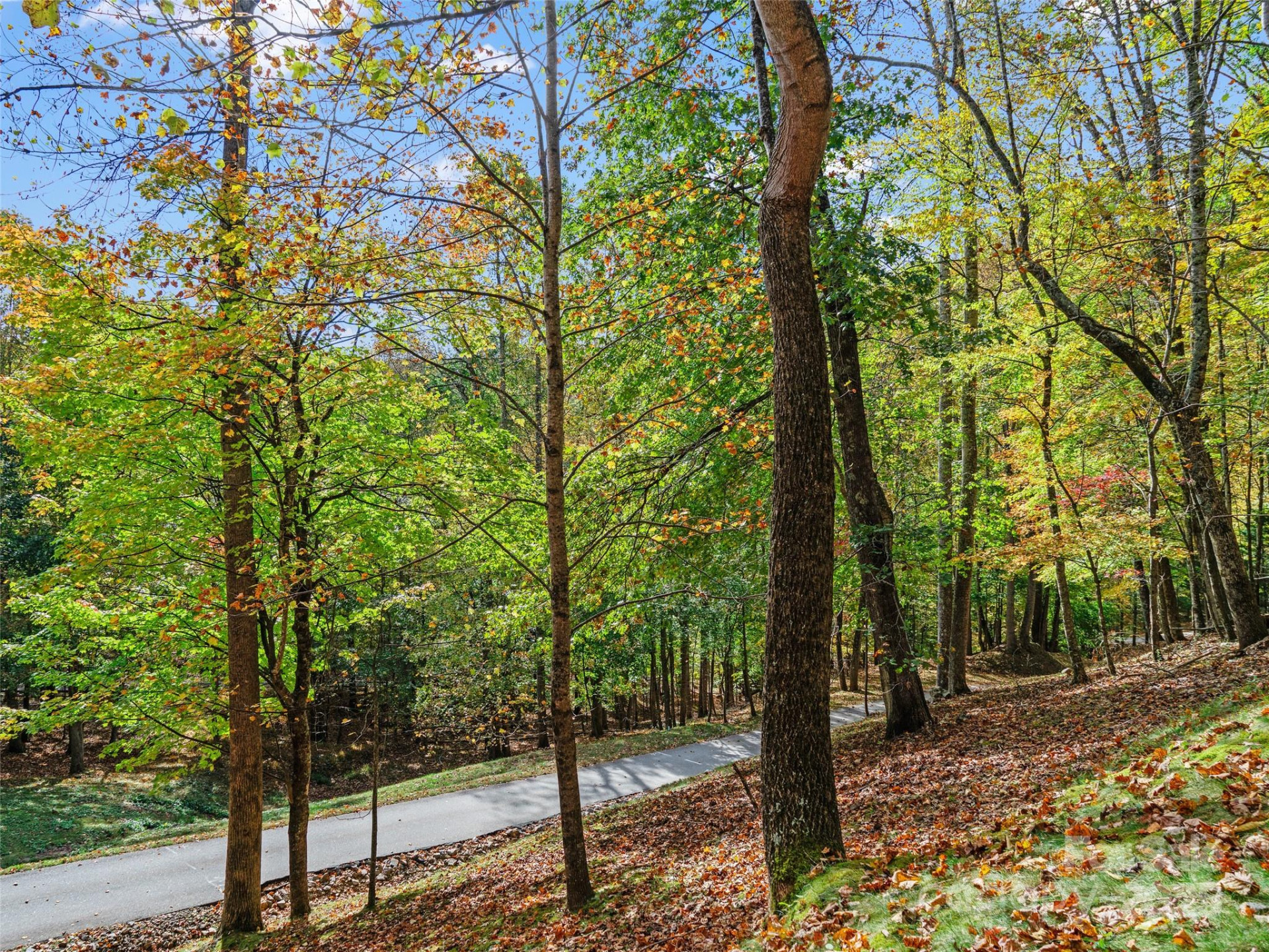 42 Hickory Springs Road #42 - Photo 21