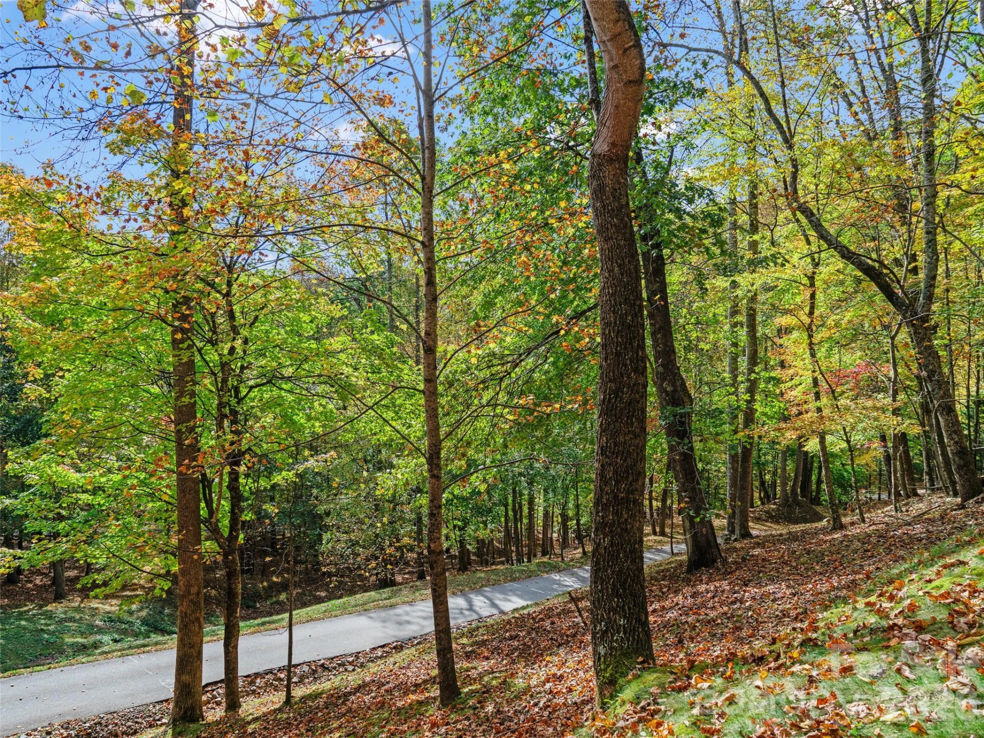 42 Hickory Springs Road #42 - Photo 41