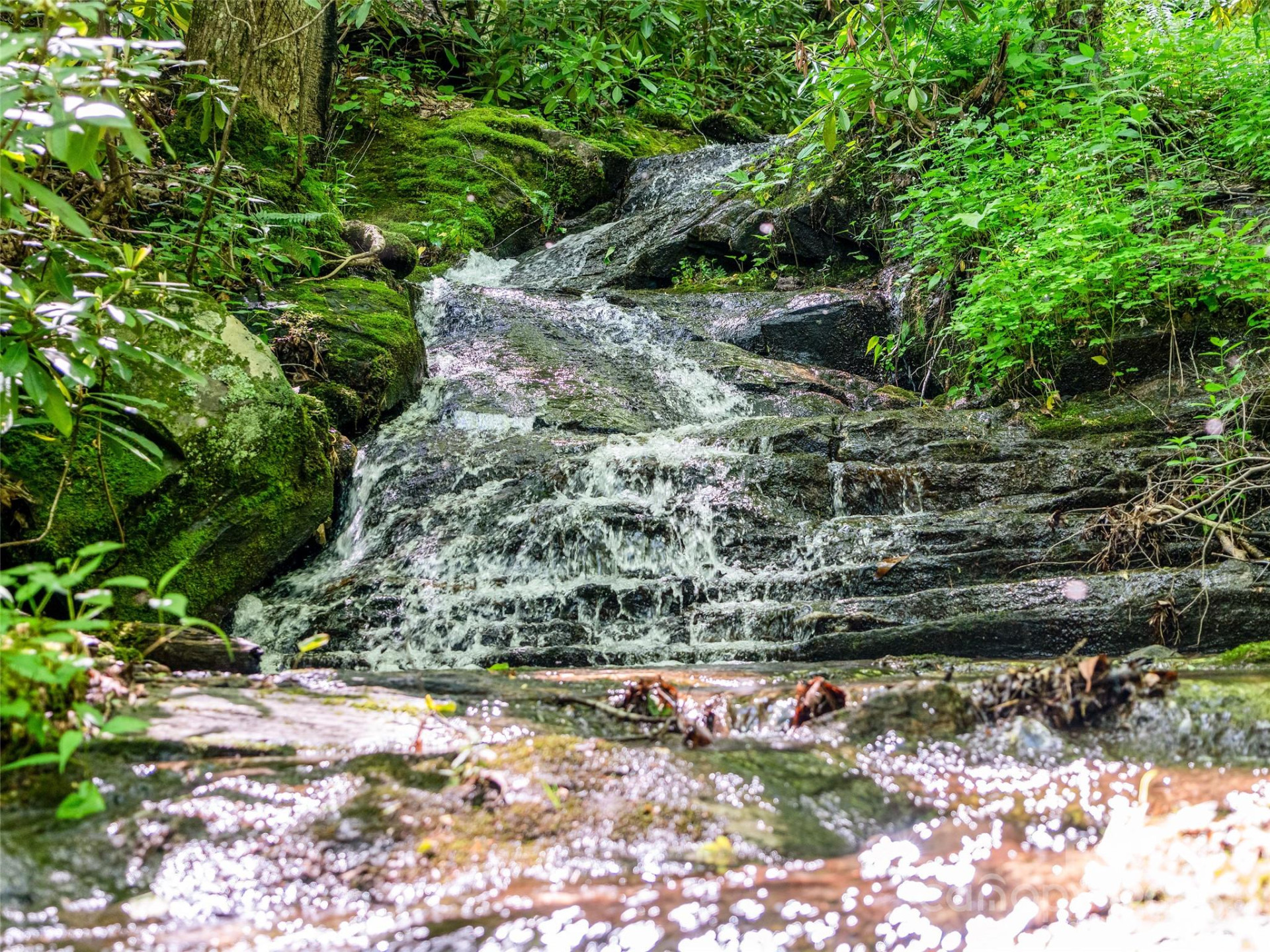 42 Hickory Springs Road #42 - Photo 28