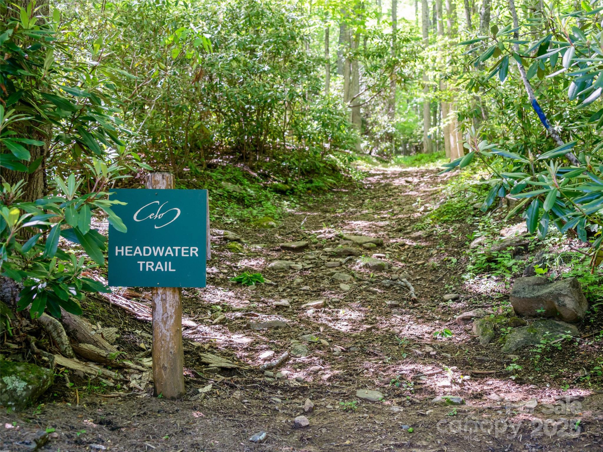 42 Hickory Springs Road #42 - Photo 30