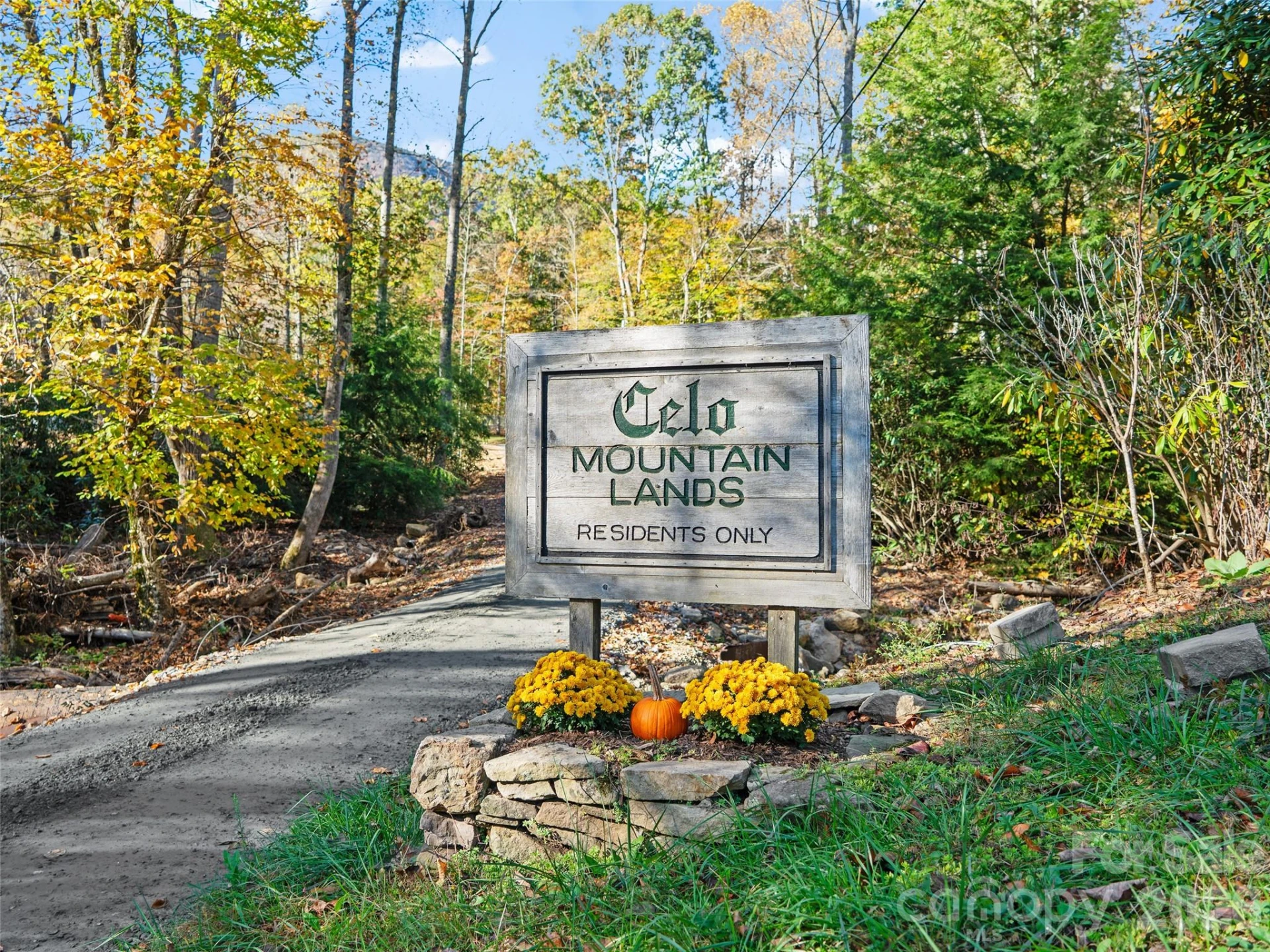 42 Hickory Springs Road #42 - Photo 69