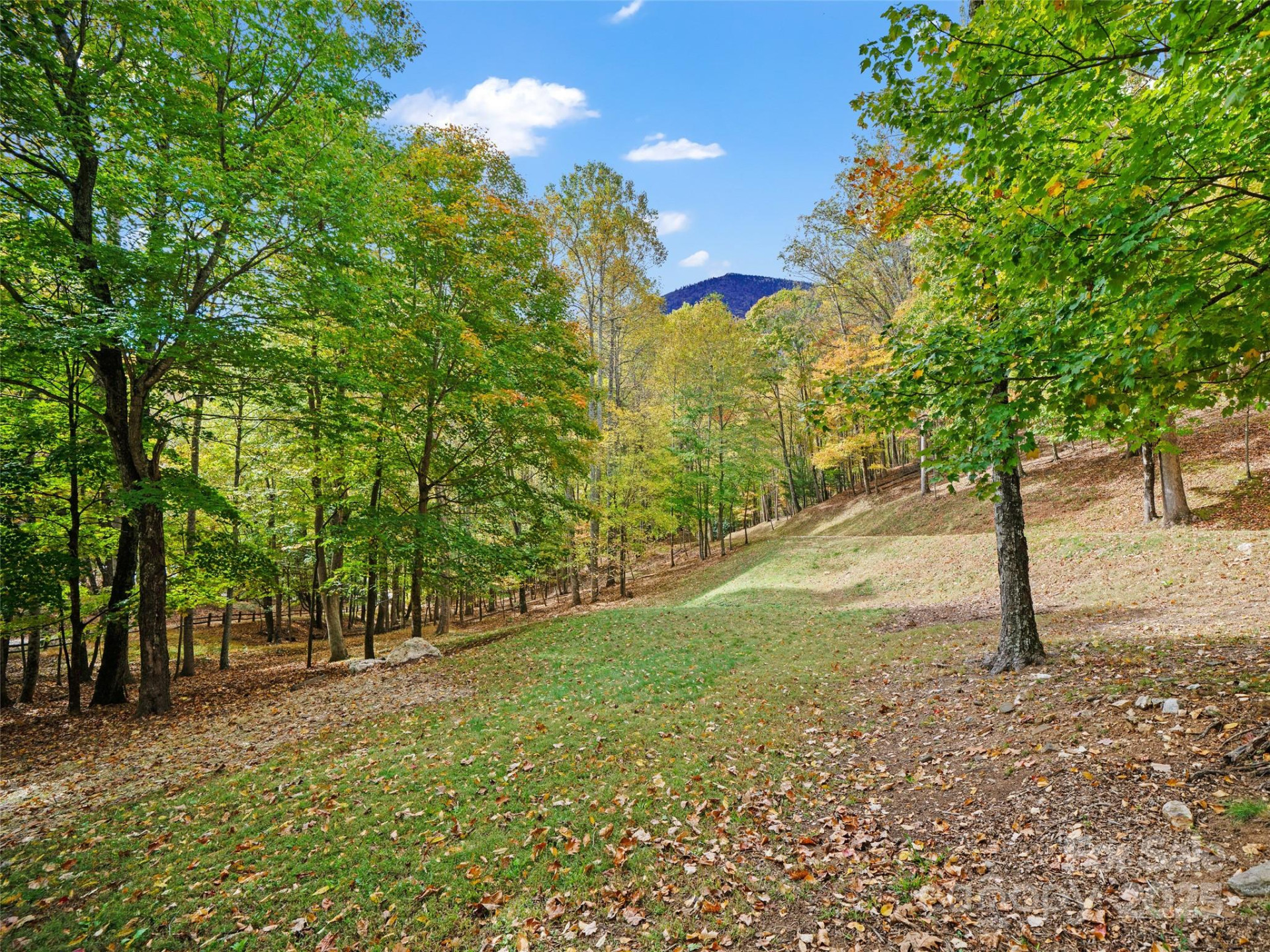 42 Hickory Springs Road #42 - Photo 6