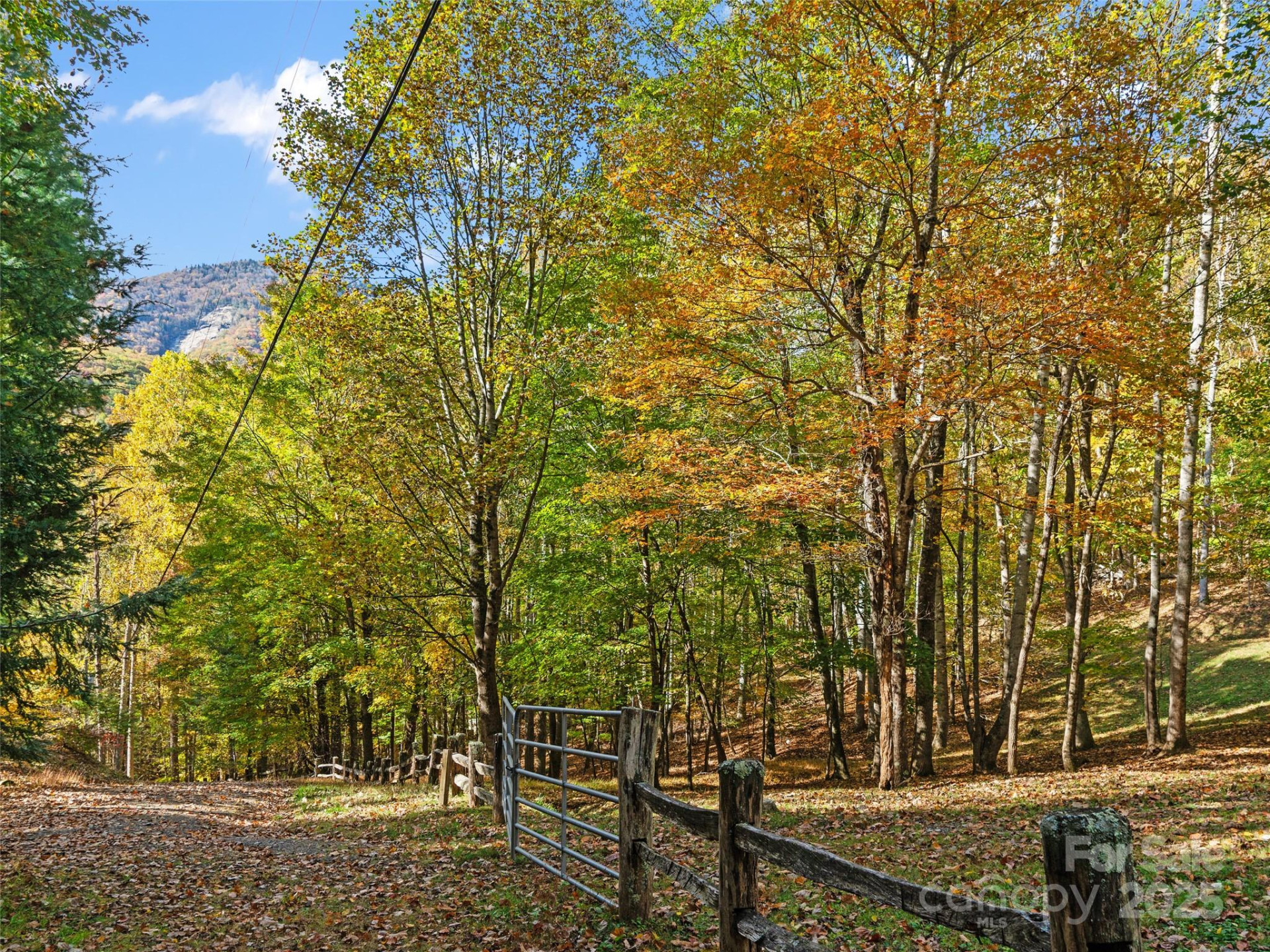 42 Hickory Springs Road #42 - Photo 9