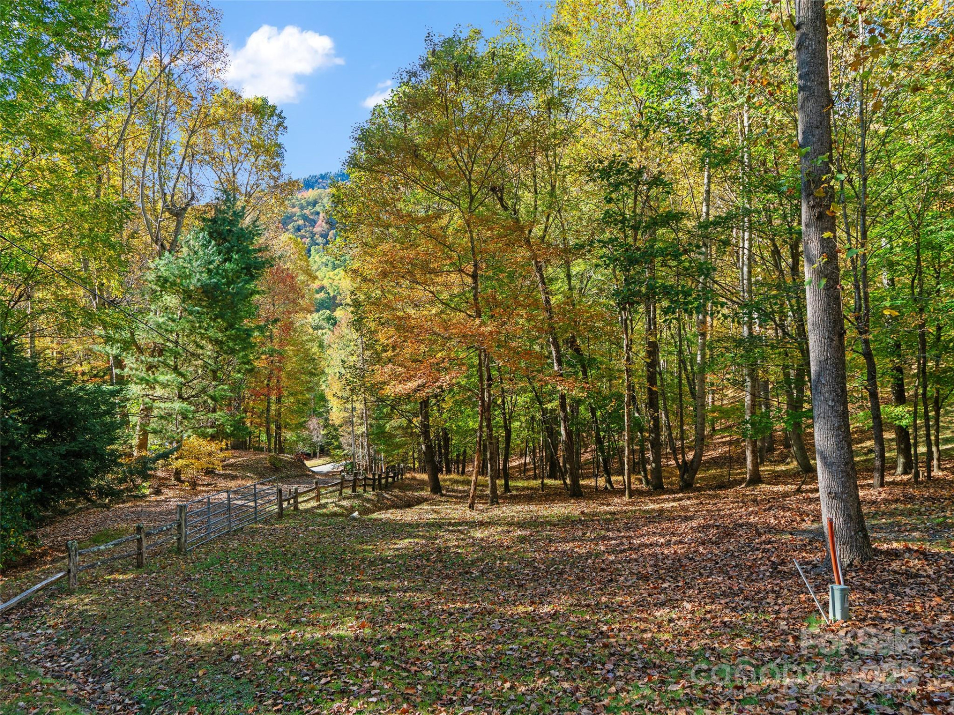 42 Hickory Springs Road #42 - Photo 10