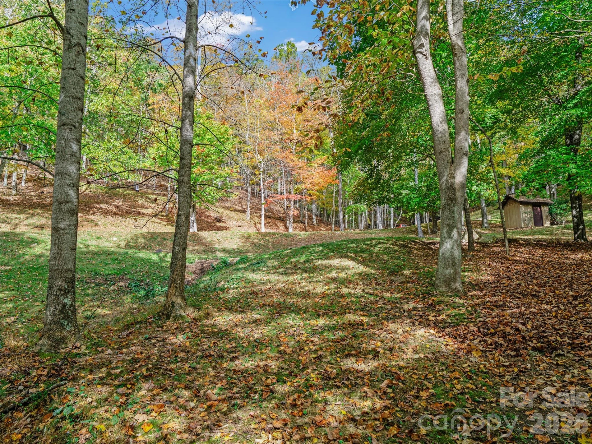 42 Hickory Springs Road #42 - Photo 19