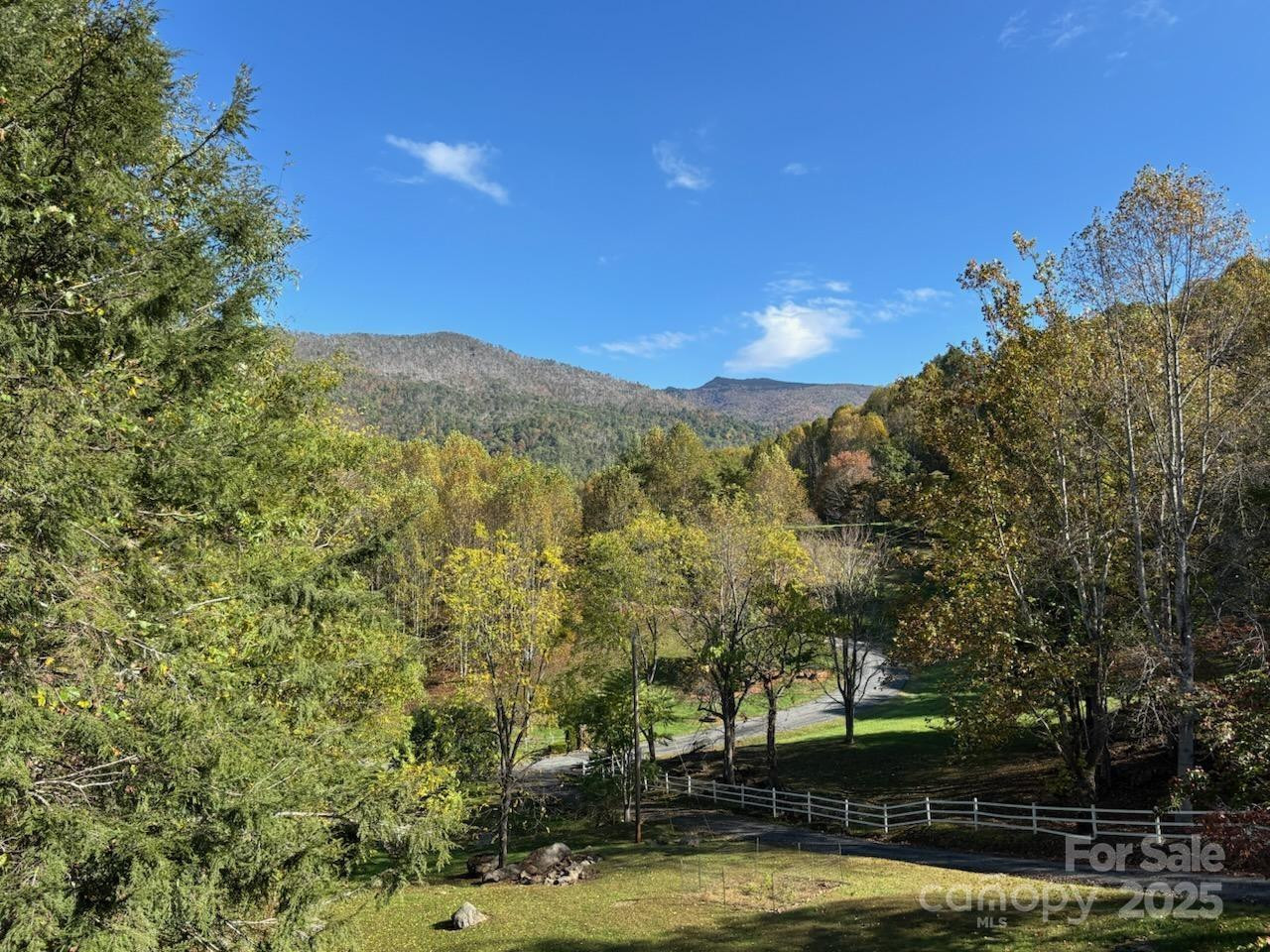 408 Dora Lane - Photo 2