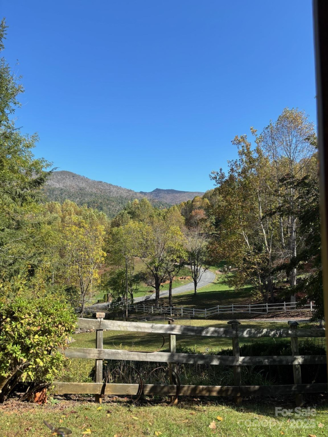 408 Dora Lane - Photo 4