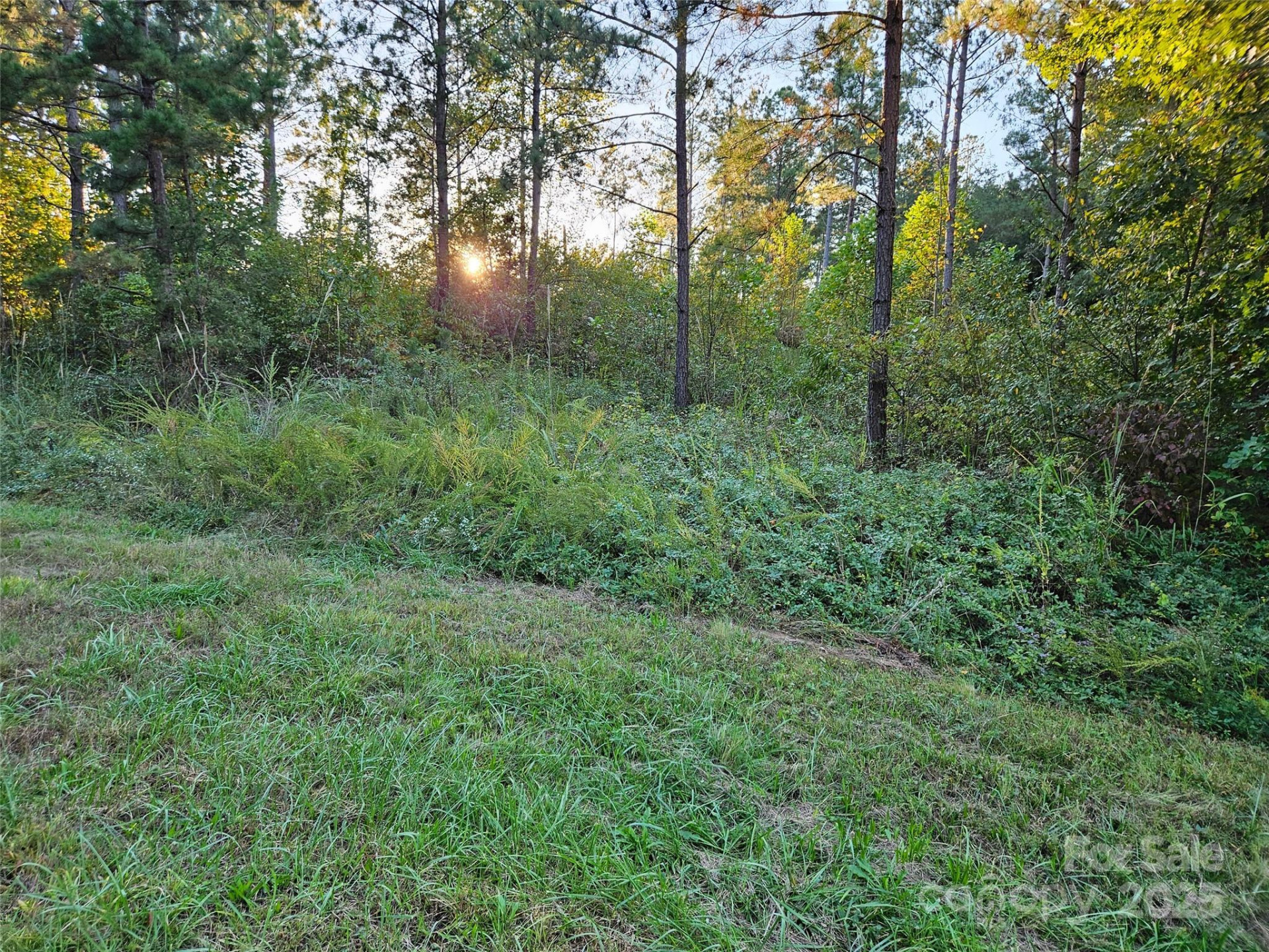 0 Thermal City Road #3 - Photo 2