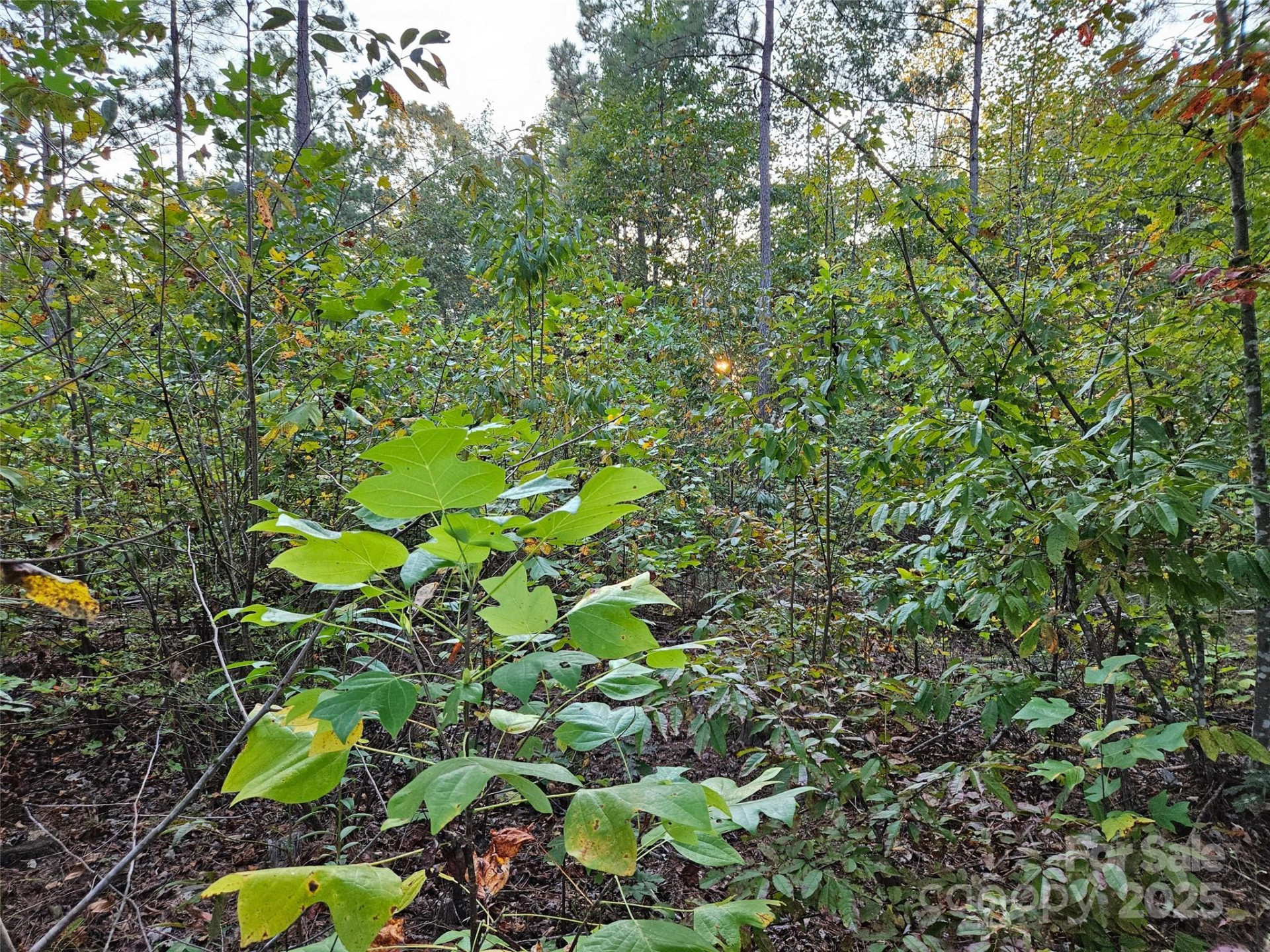 0 Thermal City Road #3 - Photo 11