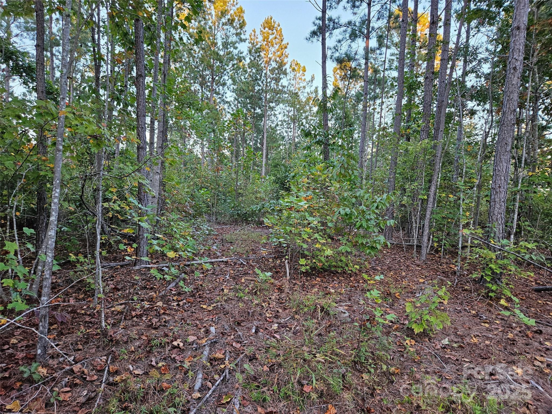 0 Thermal City Road #3 - Photo 12