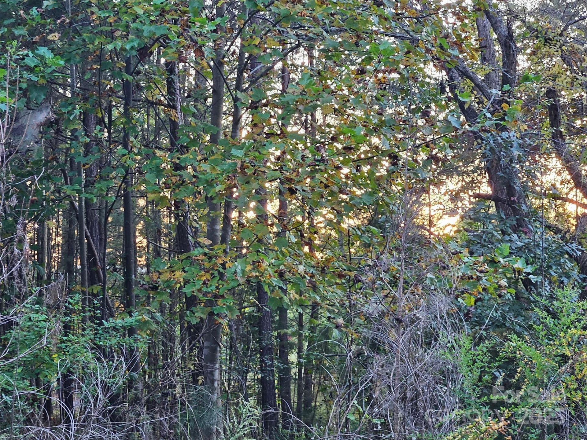 0 Thermal City Road #3 - Photo 13