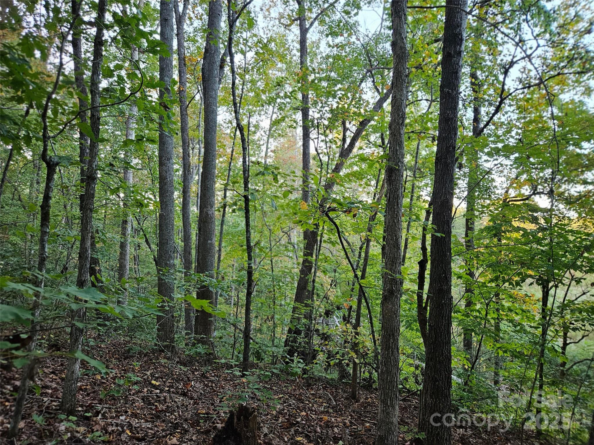 0 Thermal City Road #3 - Photo 4