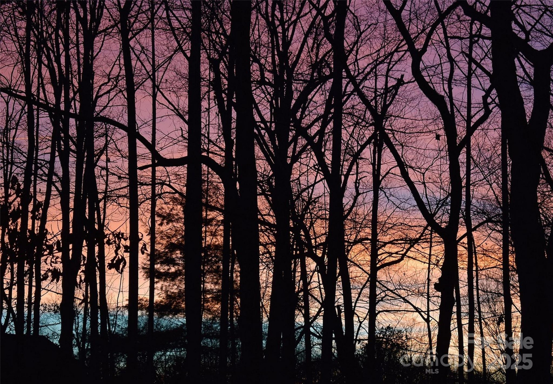 0 Thermal City Road #3 - Photo 5