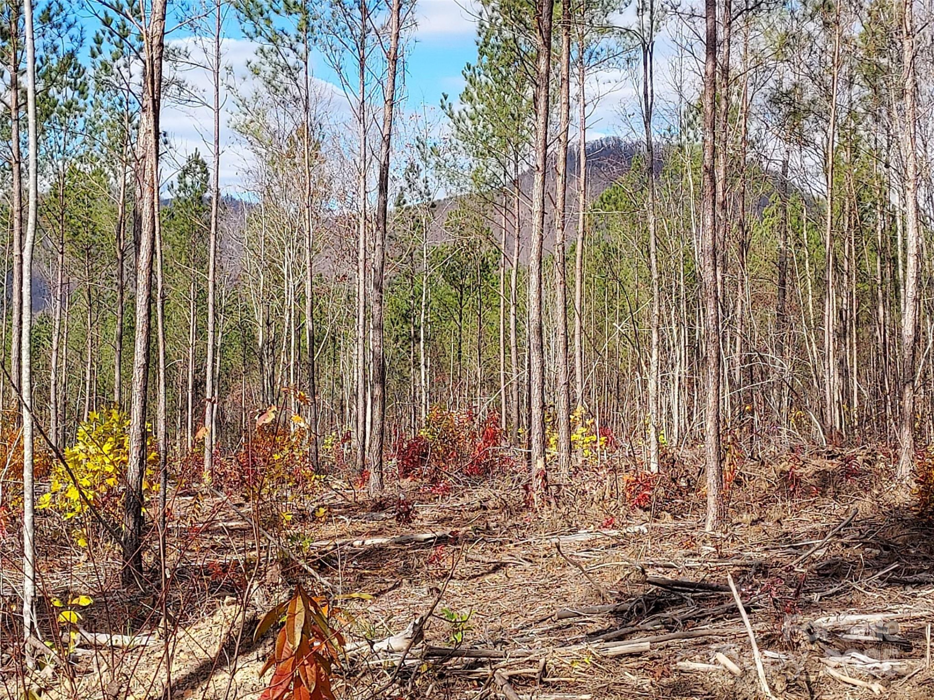 0 Thermal City Road #3 - Photo 6