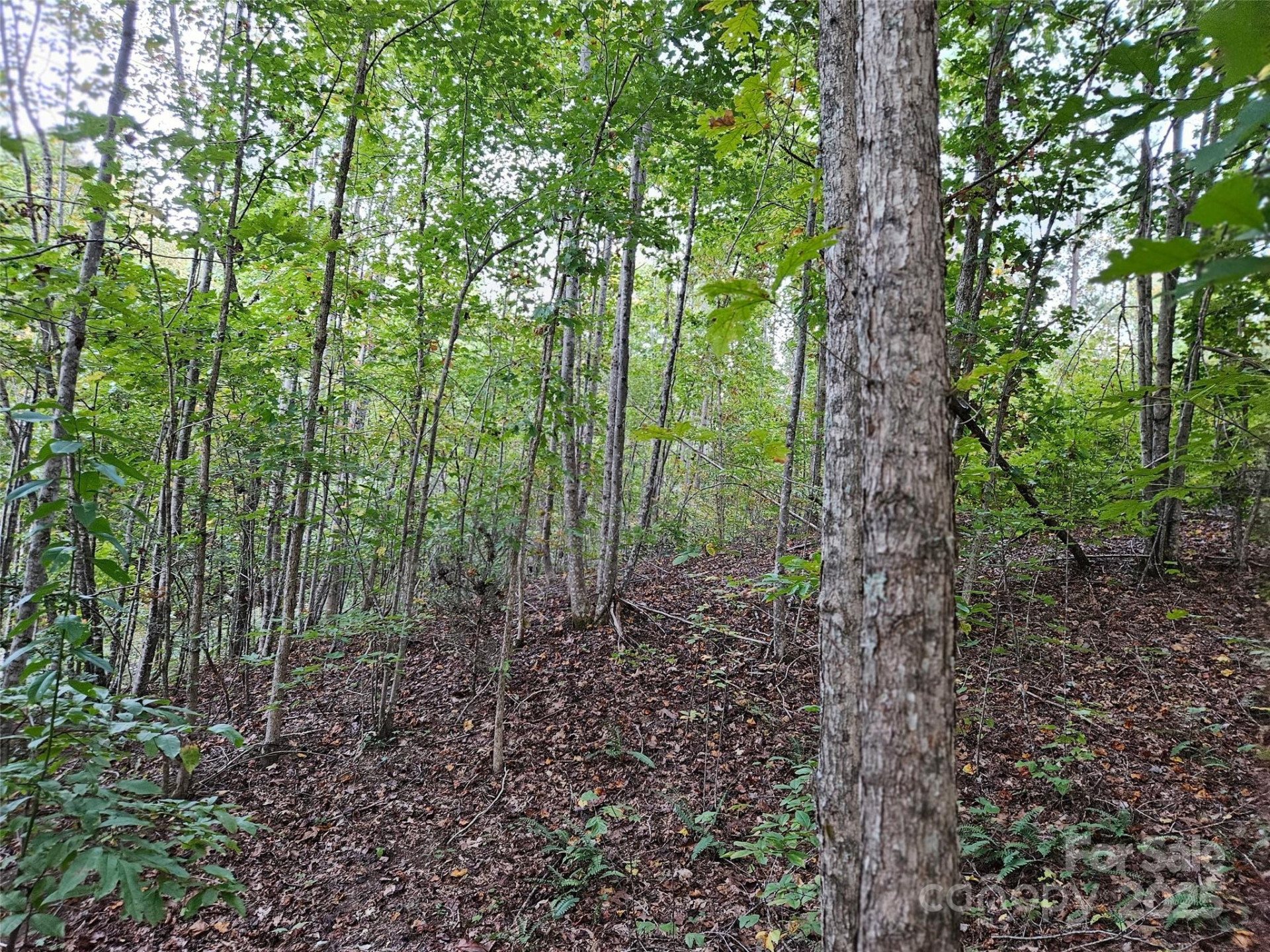 0 Thermal City Road #3 - Photo 7