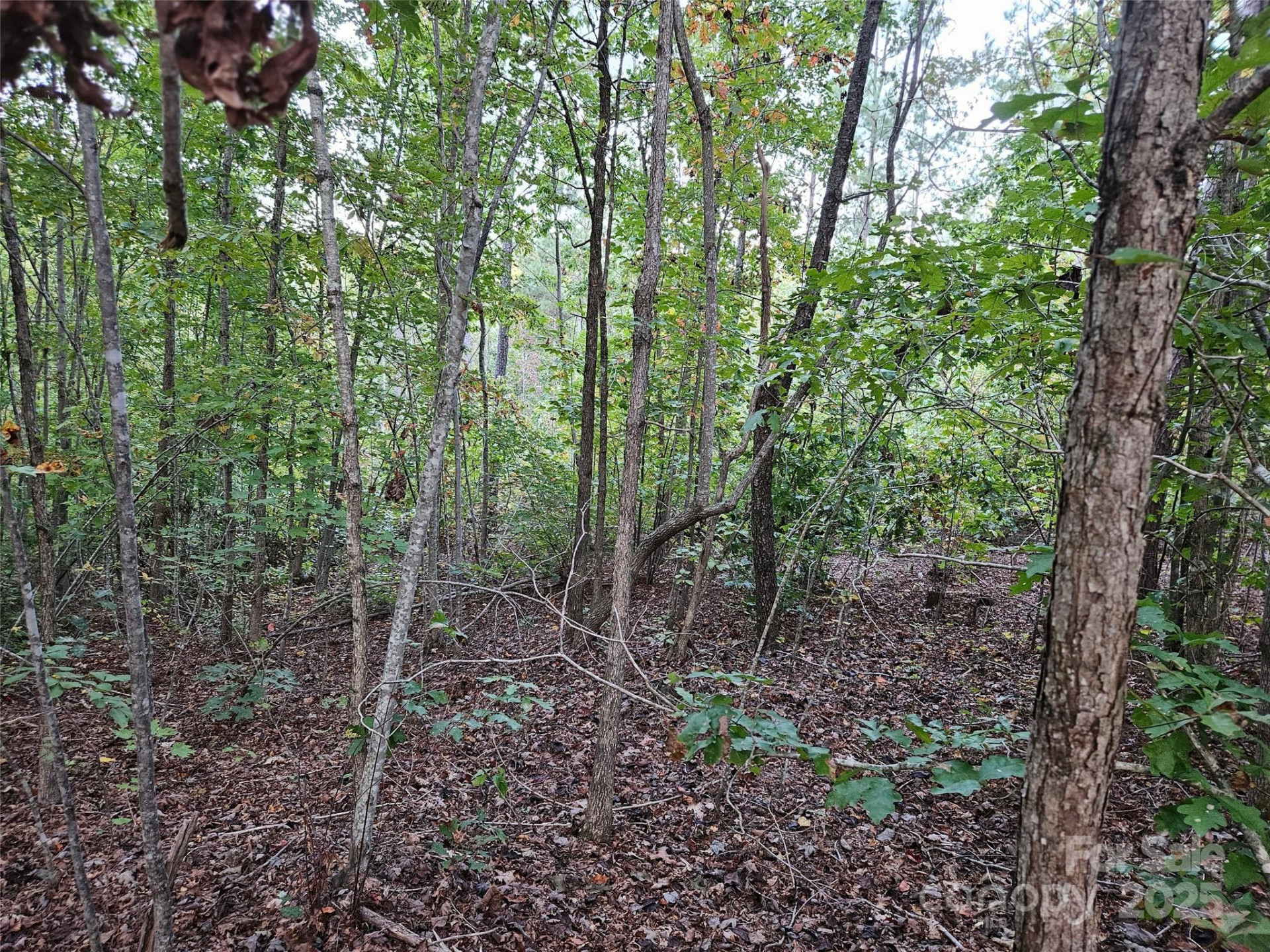 0 Thermal City Road #3 - Photo 8