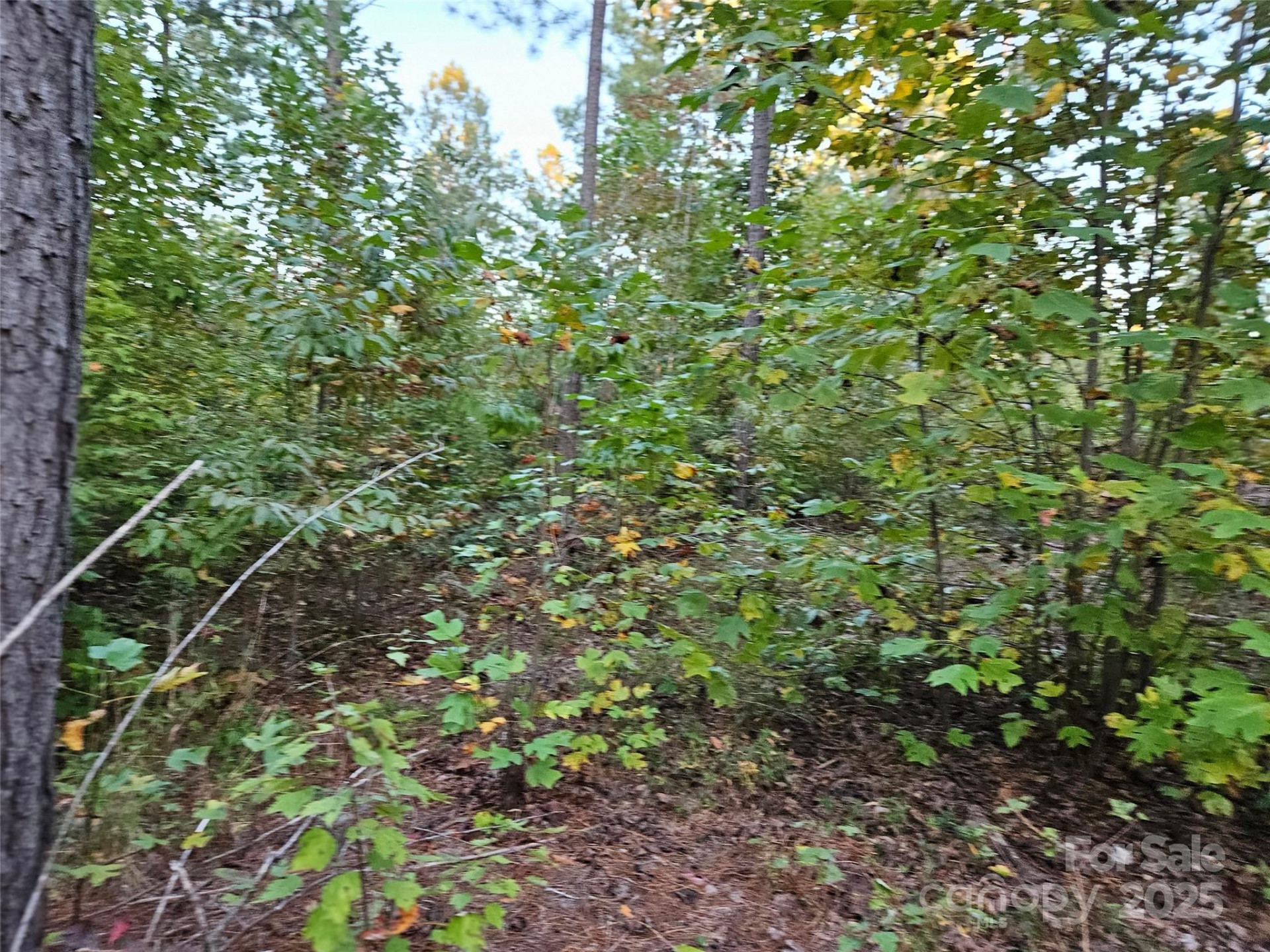 0 Thermal City Road #3 - Photo 9