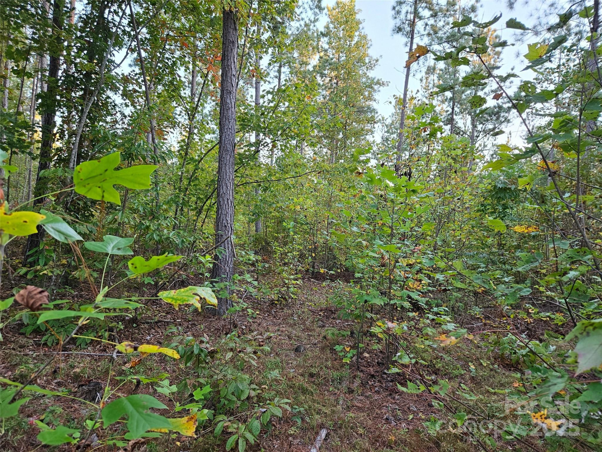 0 Thermal City Road #3 - Photo 10