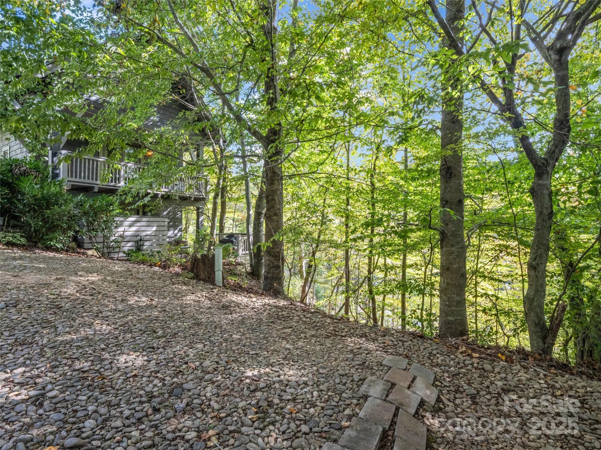 6 Whitman Lane - Photo 5