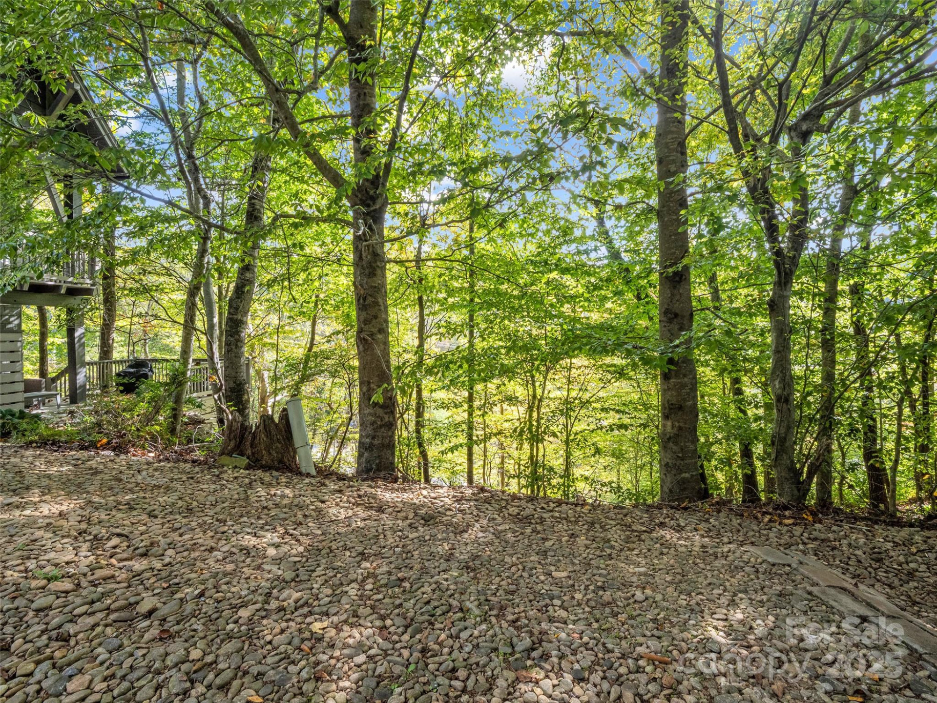 6 Whitman Lane - Photo 6