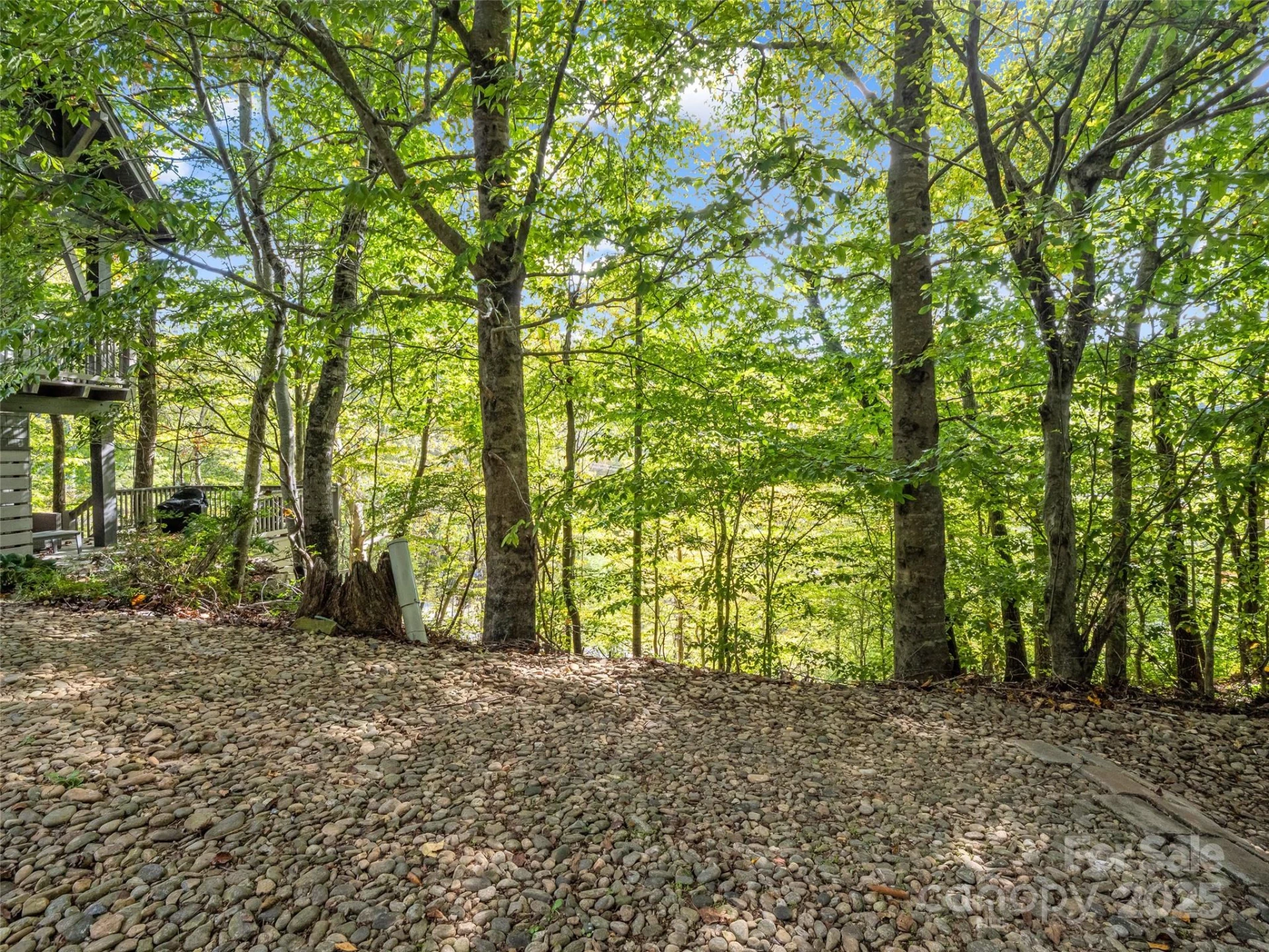 6 Whitman Lane - Photo 6
