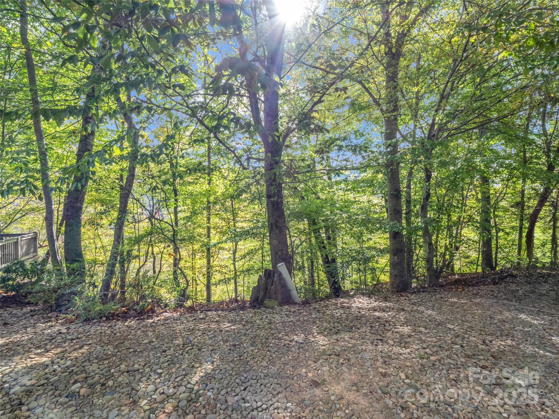 6 Whitman Lane - Photo 7