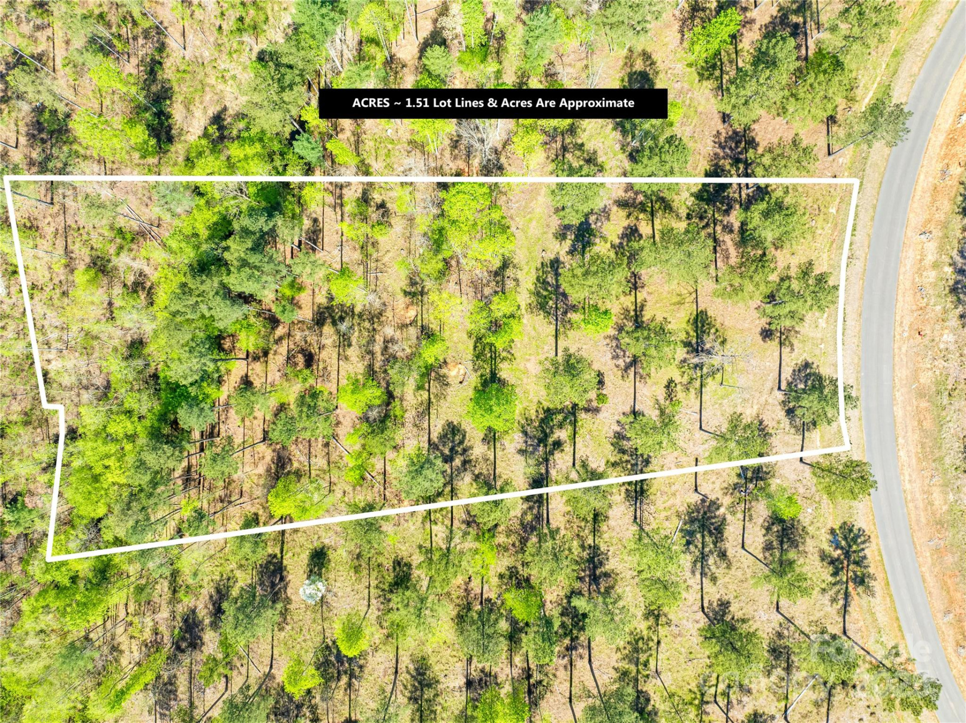 2106 Snowmass Drive #37 - Photo 3