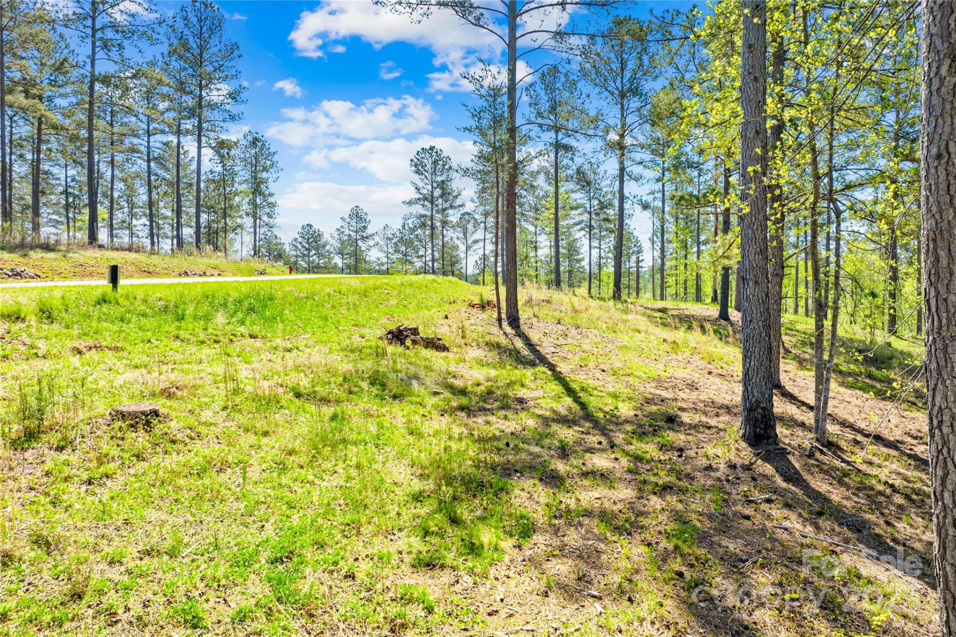 2106 Snowmass Drive #37 - Photo 22