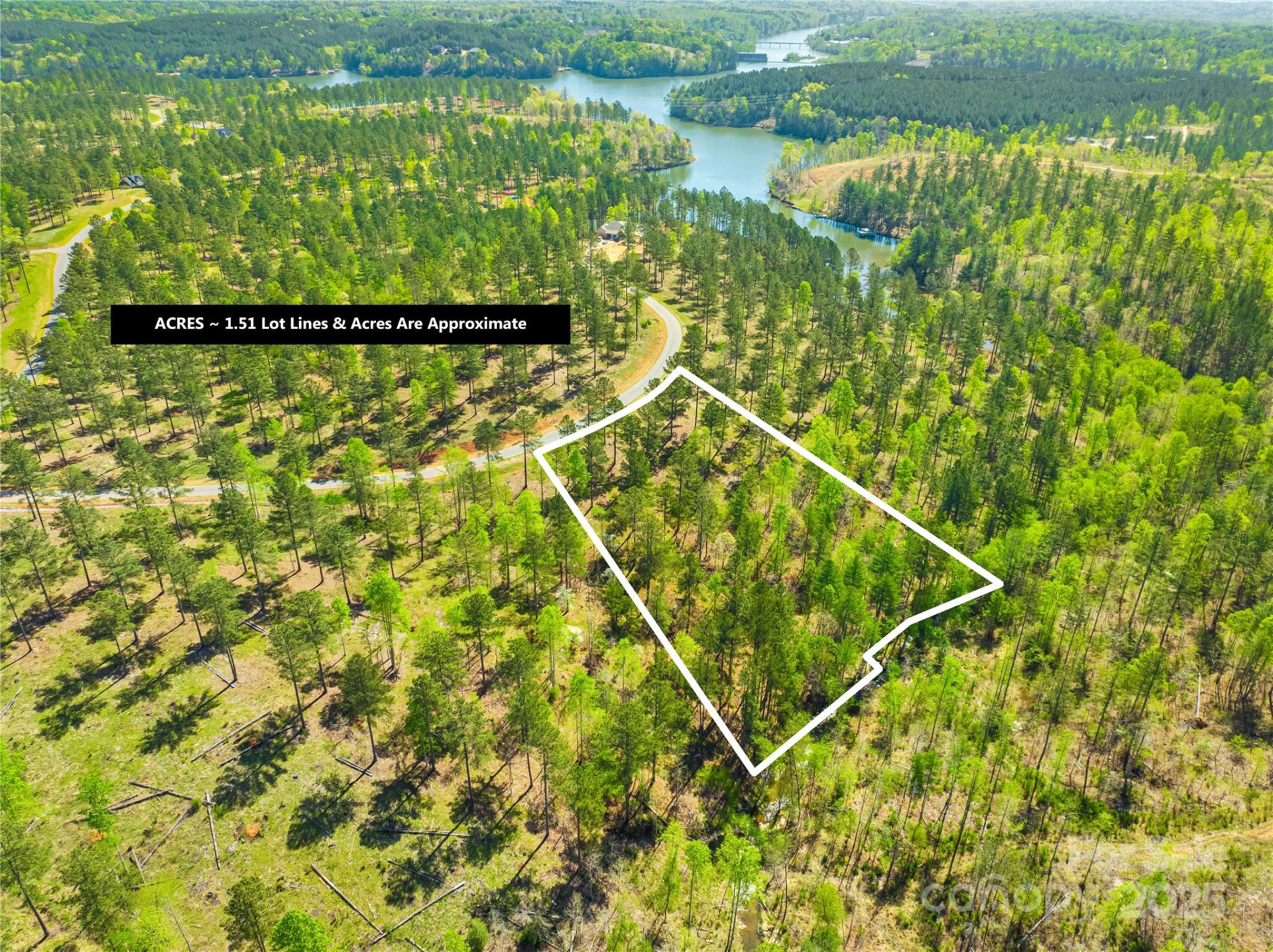 2106 Snowmass Drive #37 - Photo 4