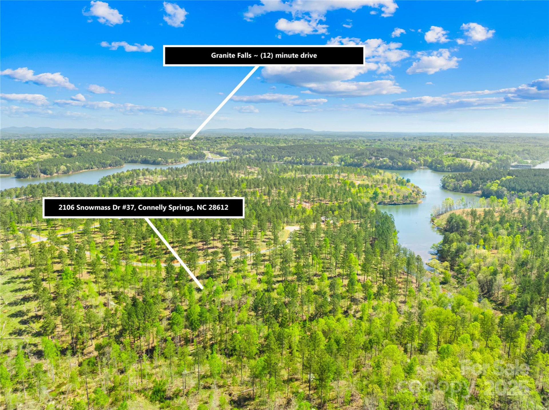 2106 Snowmass Drive #37 - Photo 5