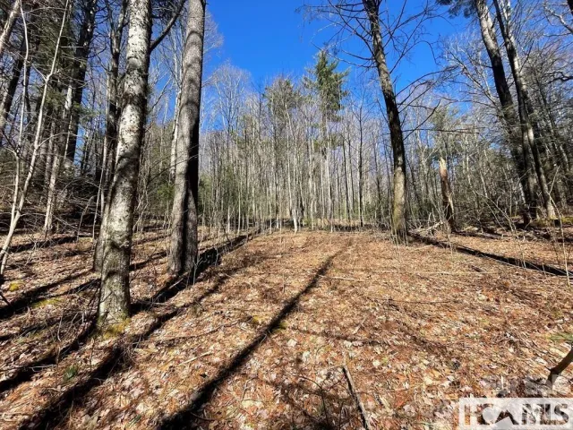 1 Bear Log Road, Cashiers, NC, 28717
