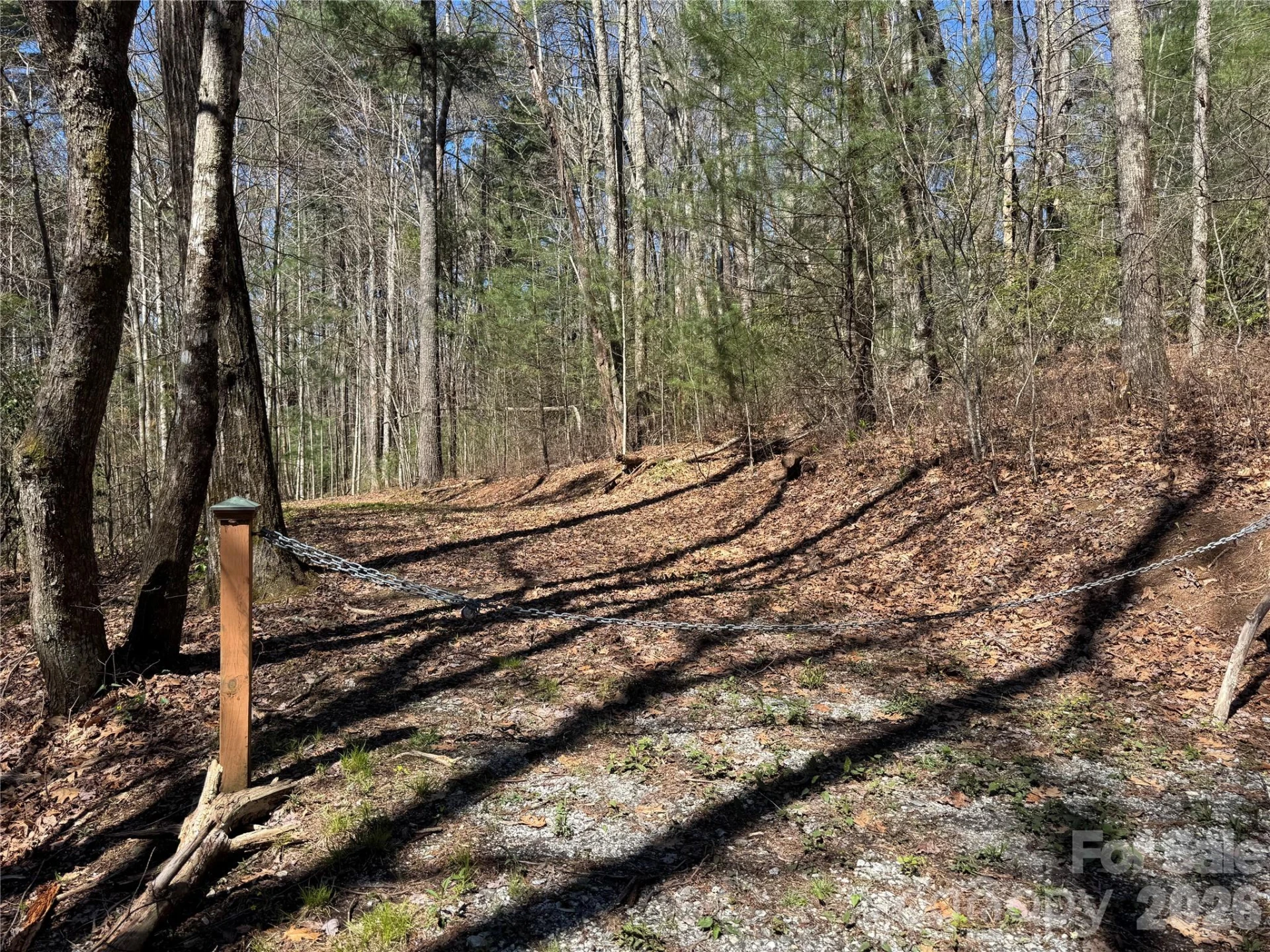 1 Bear Log Road - Photo 3