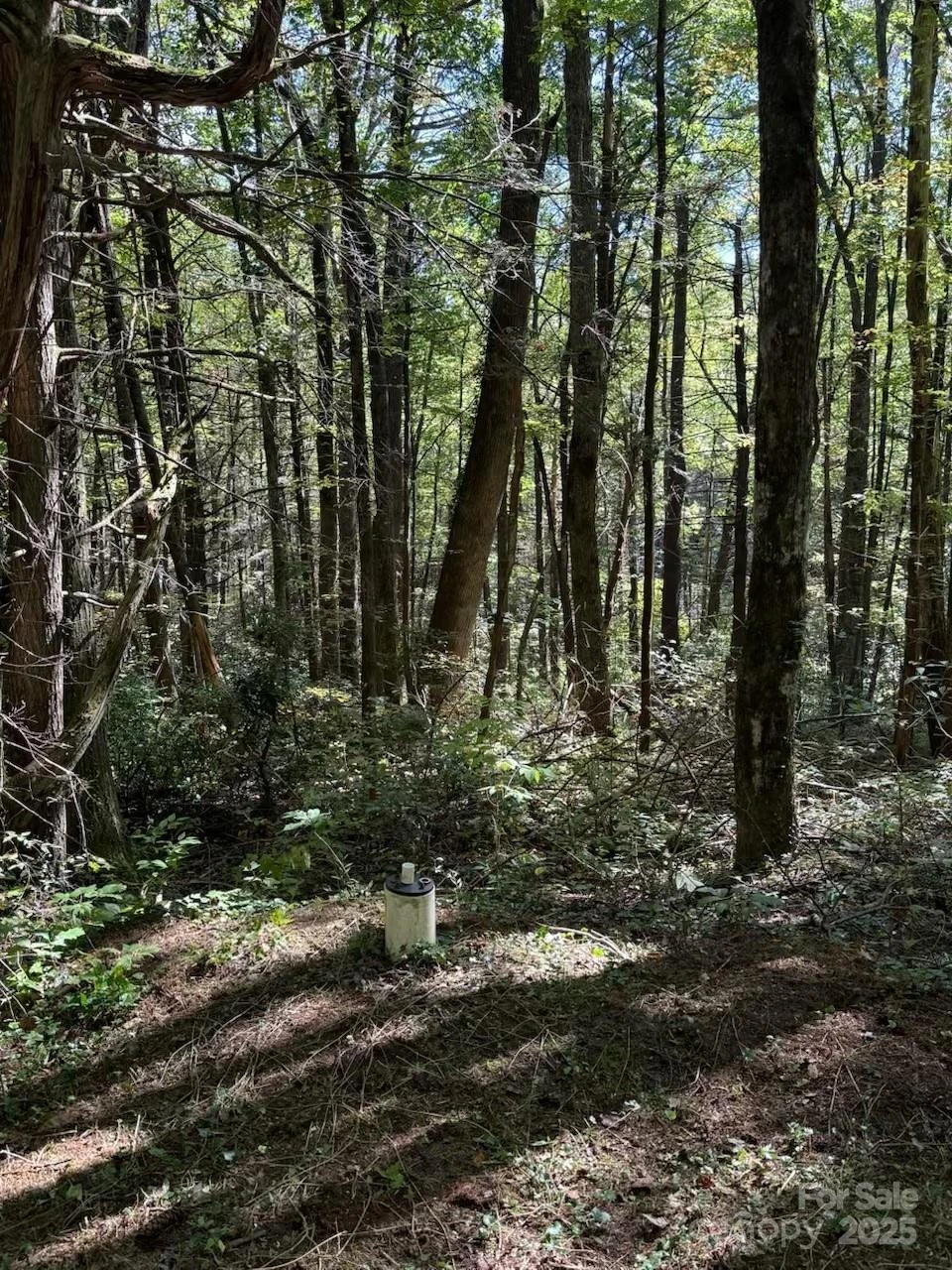 1 Bear Log Road - Photo 21