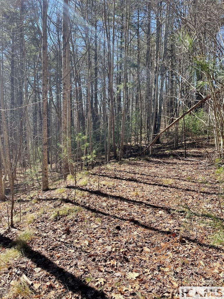 1 Bear Log Road - Photo 4