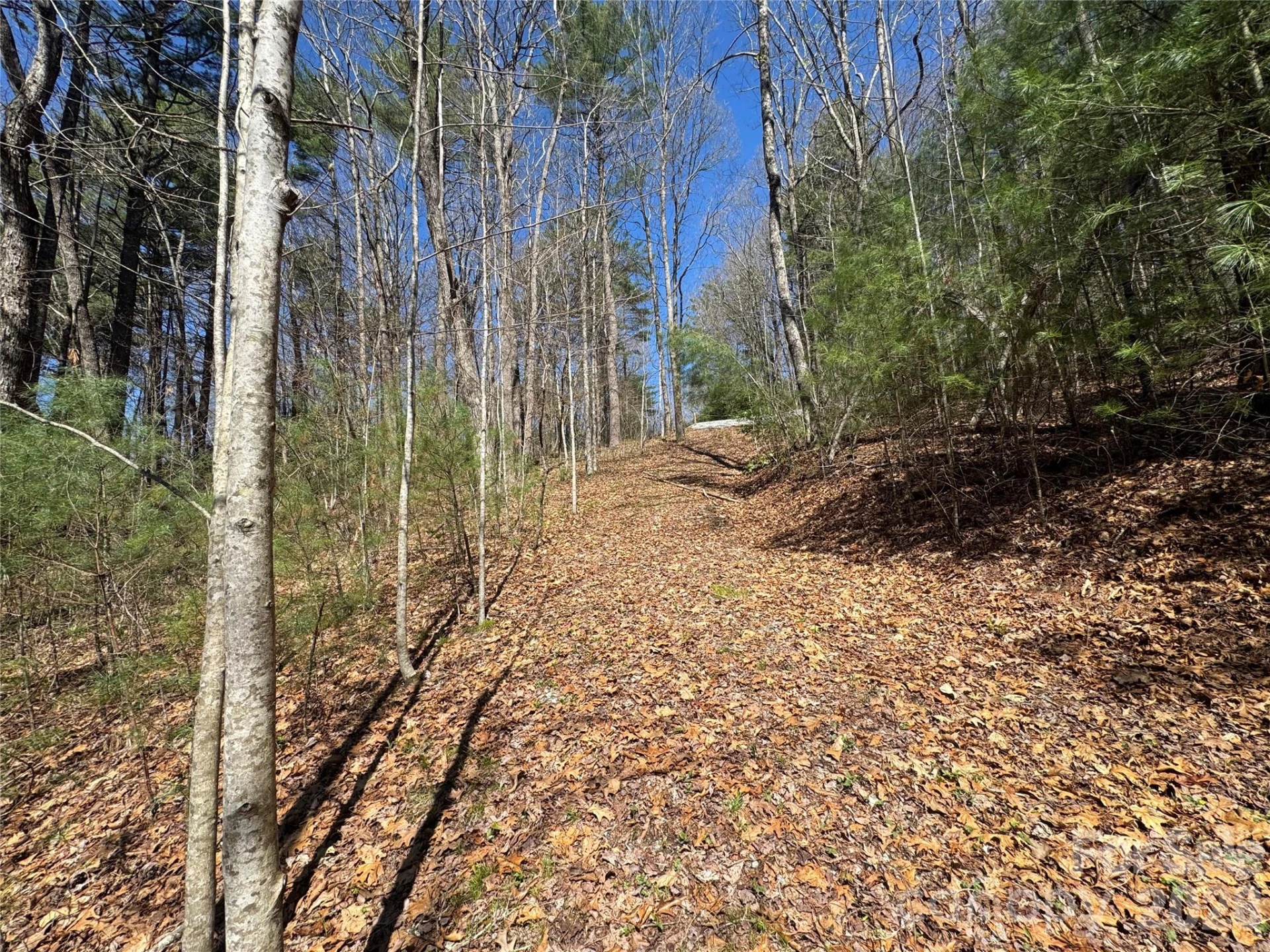 1 Bear Log Road - Photo 9
