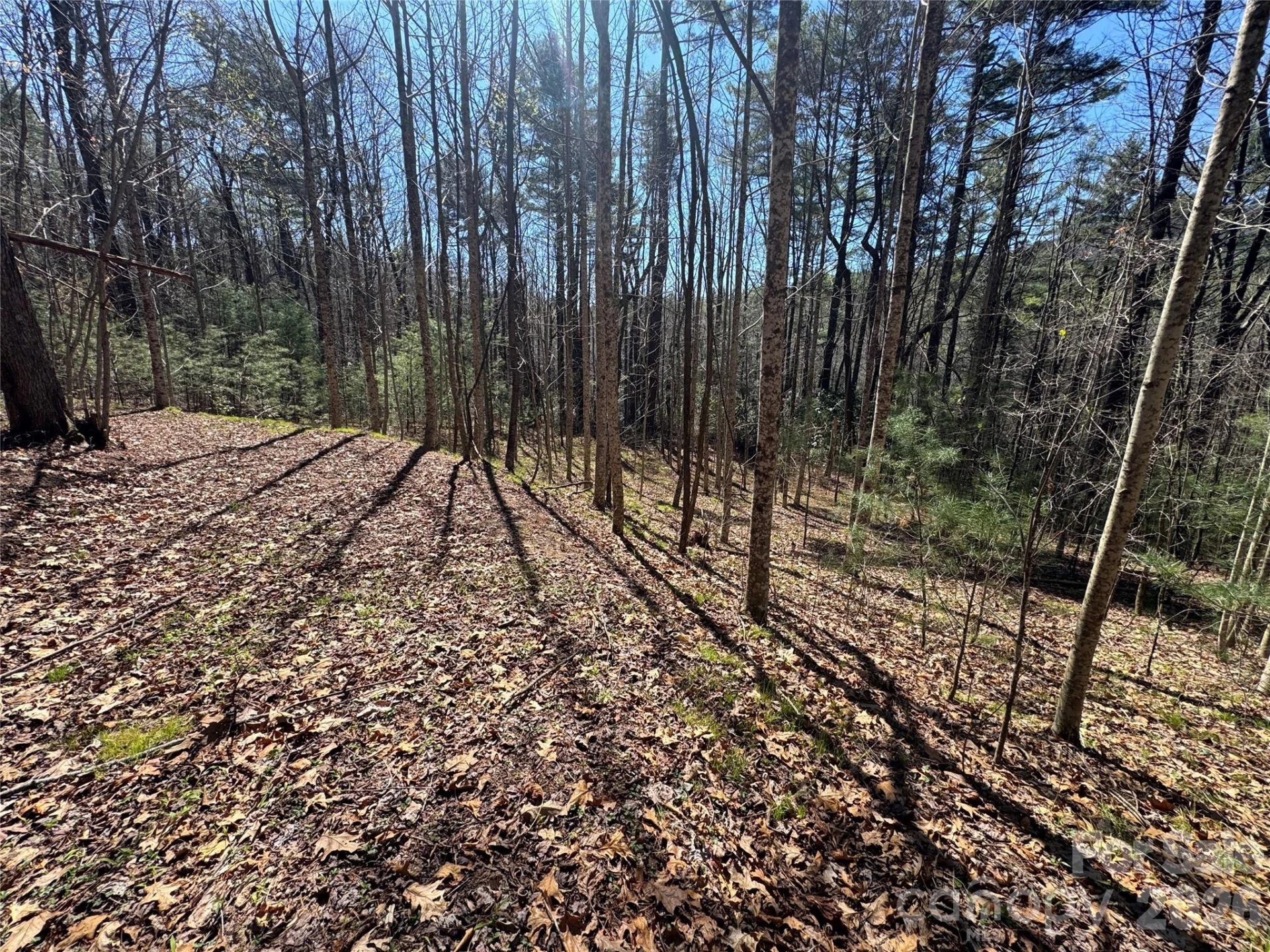 1 Bear Log Road - Photo 11