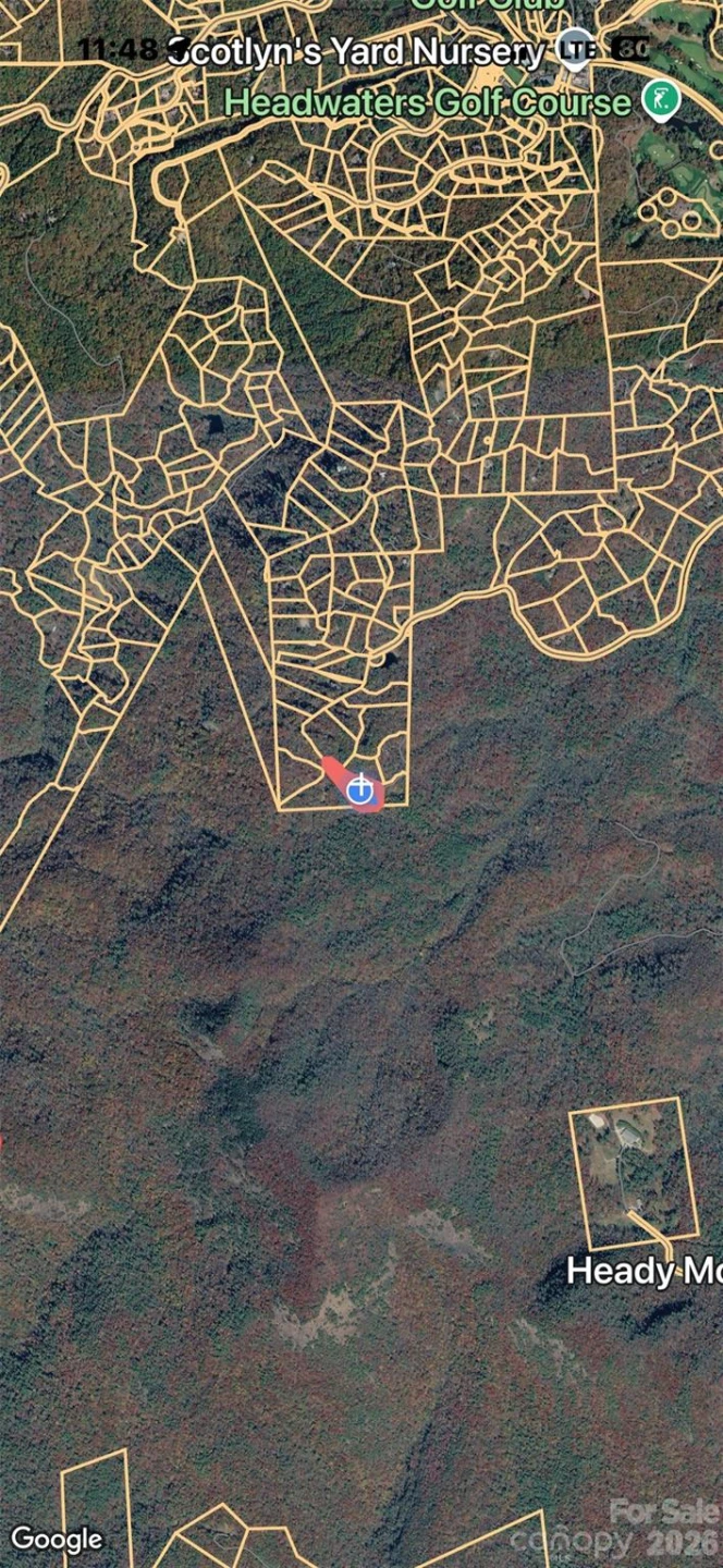 1 Bear Log Road - Photo 13