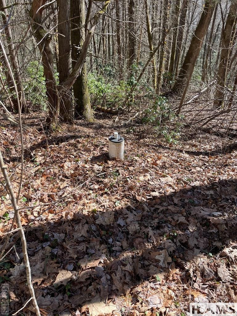 1 Bear Log Road - Photo 8