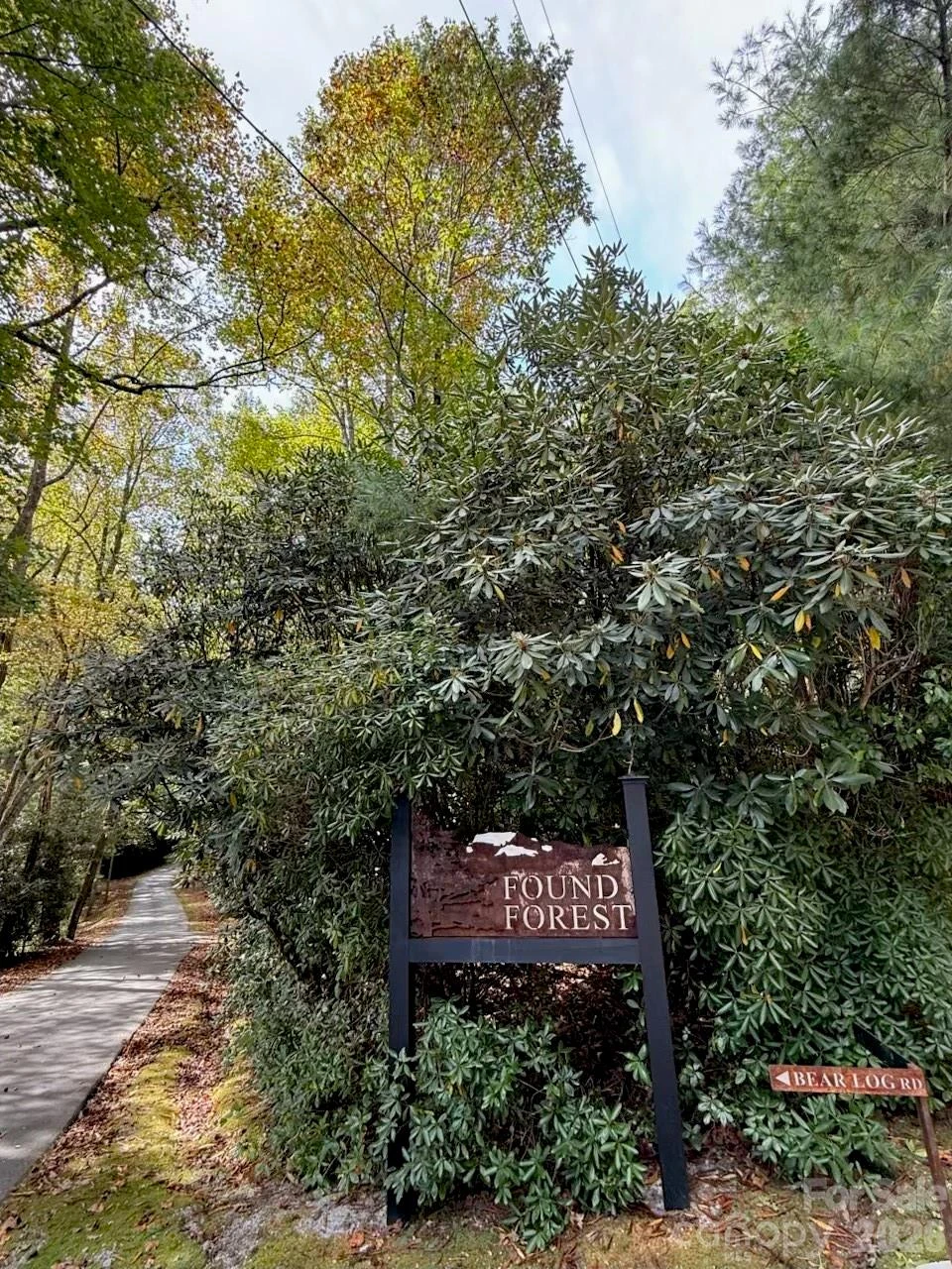 1 Bear Log Road - Photo 17