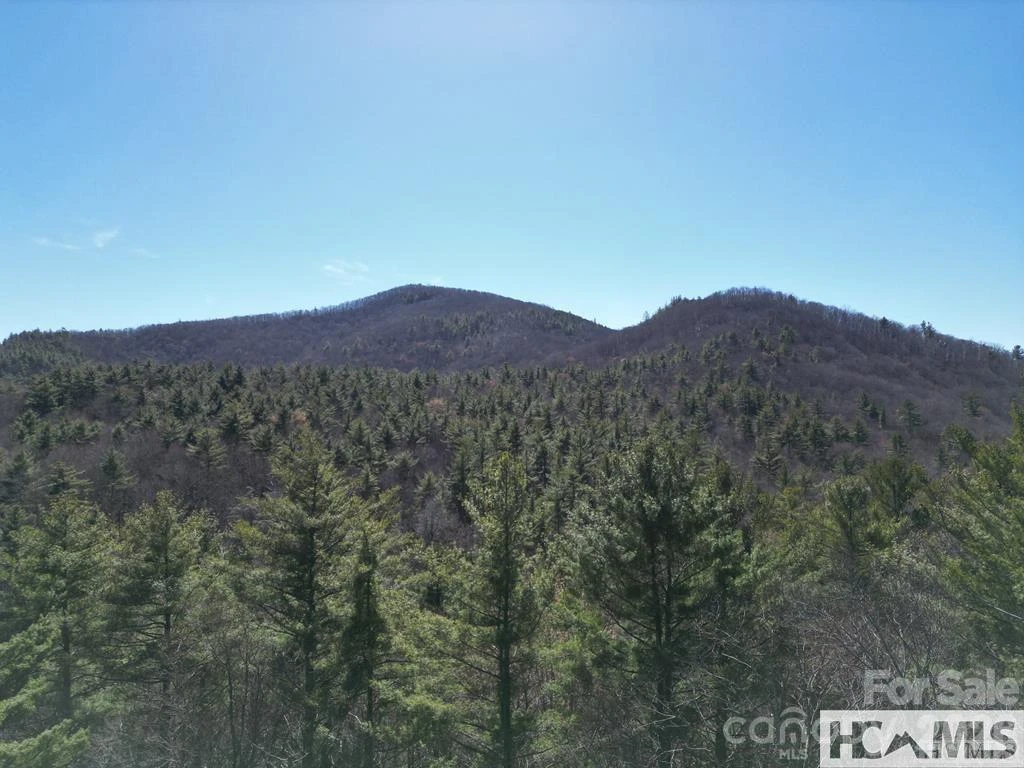 1 Bear Log Road - Photo 19