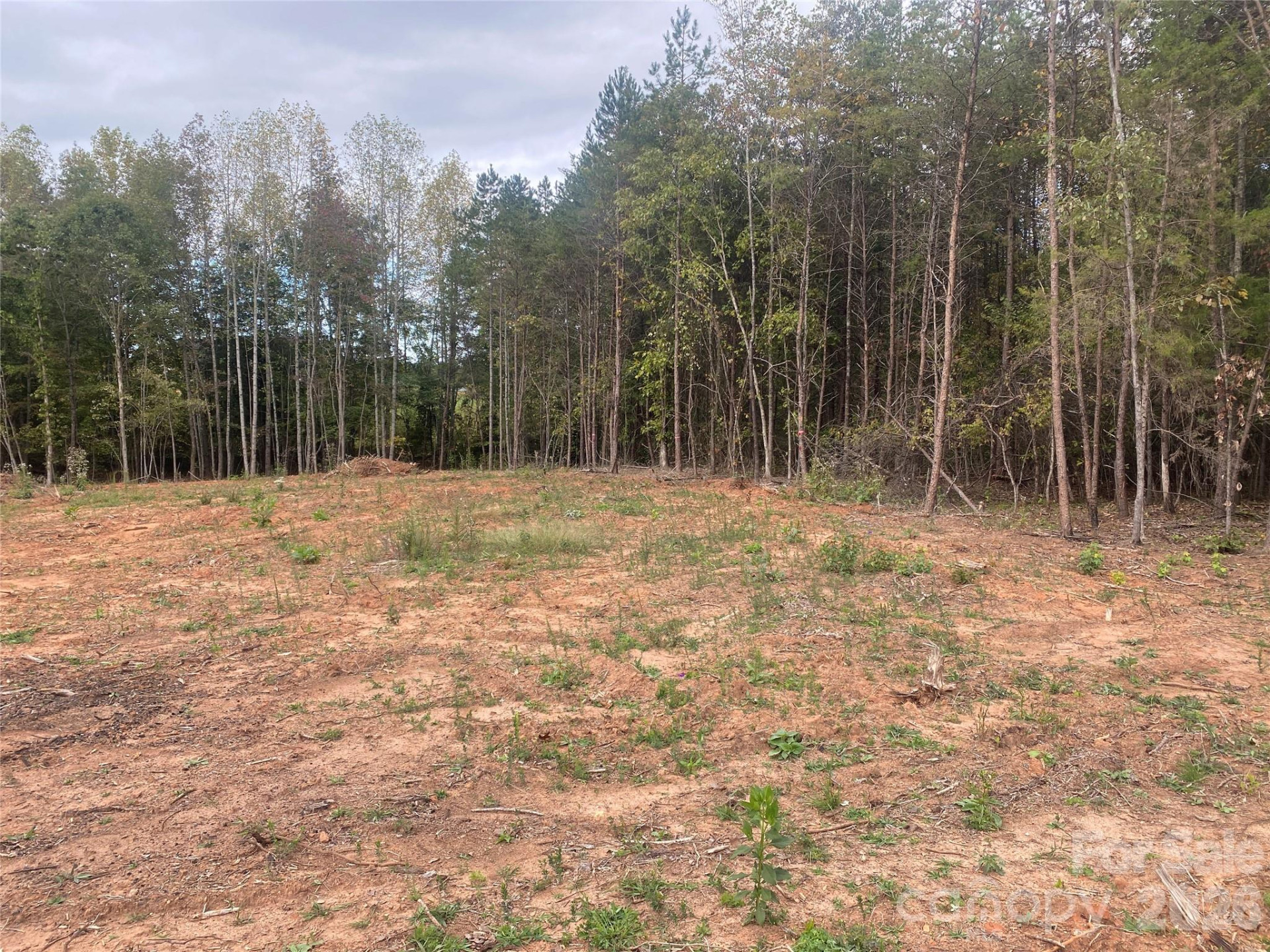 1595 Hudlow Road #7B - Photo 16