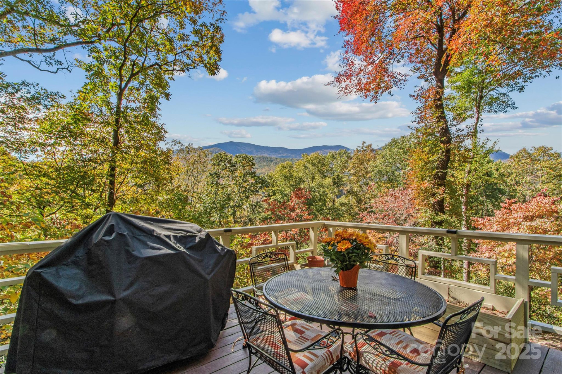 354 Big Ridge Road - Photo 5