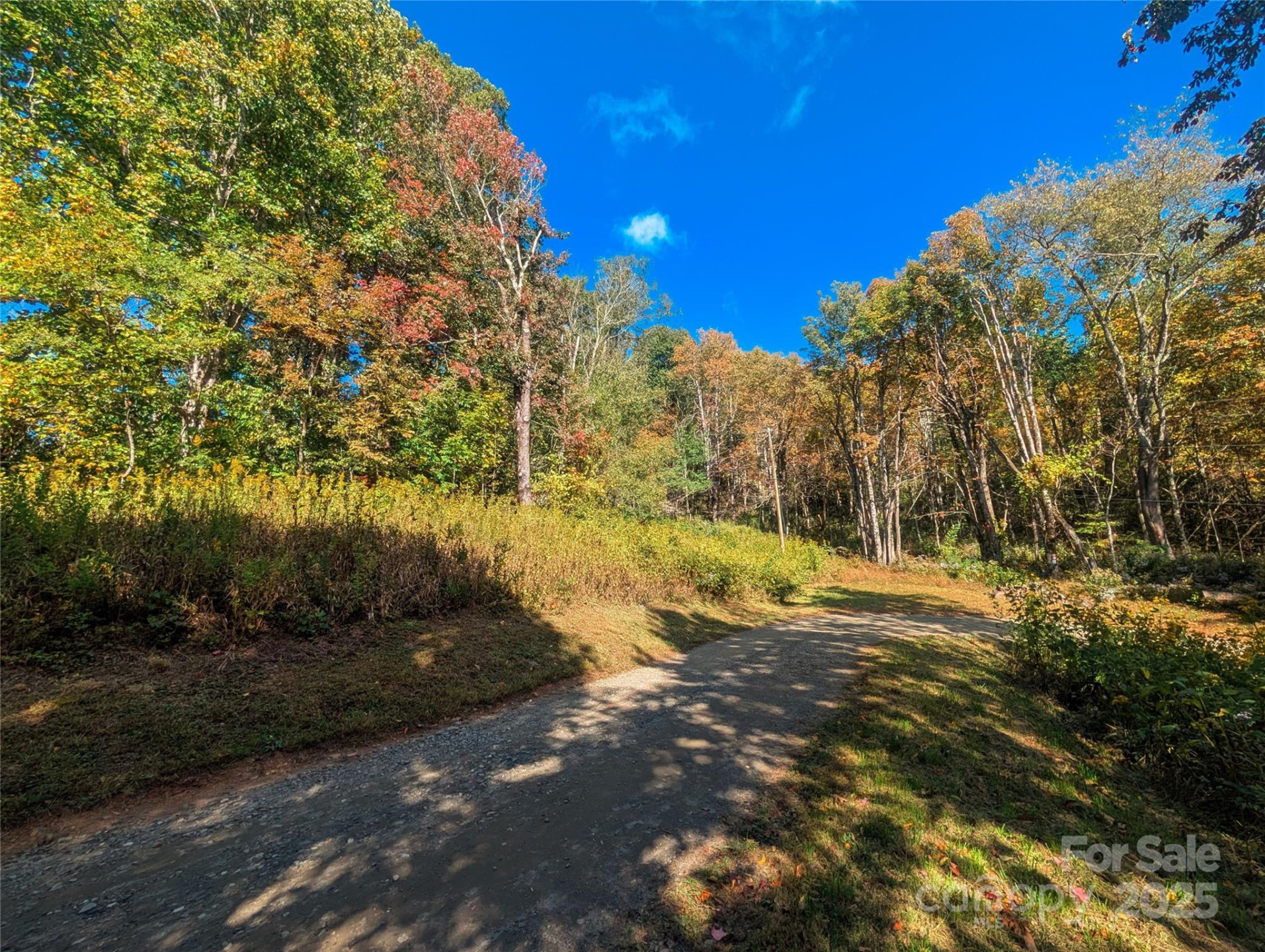 0000 Nicholas Knoll #41 - Photo 11