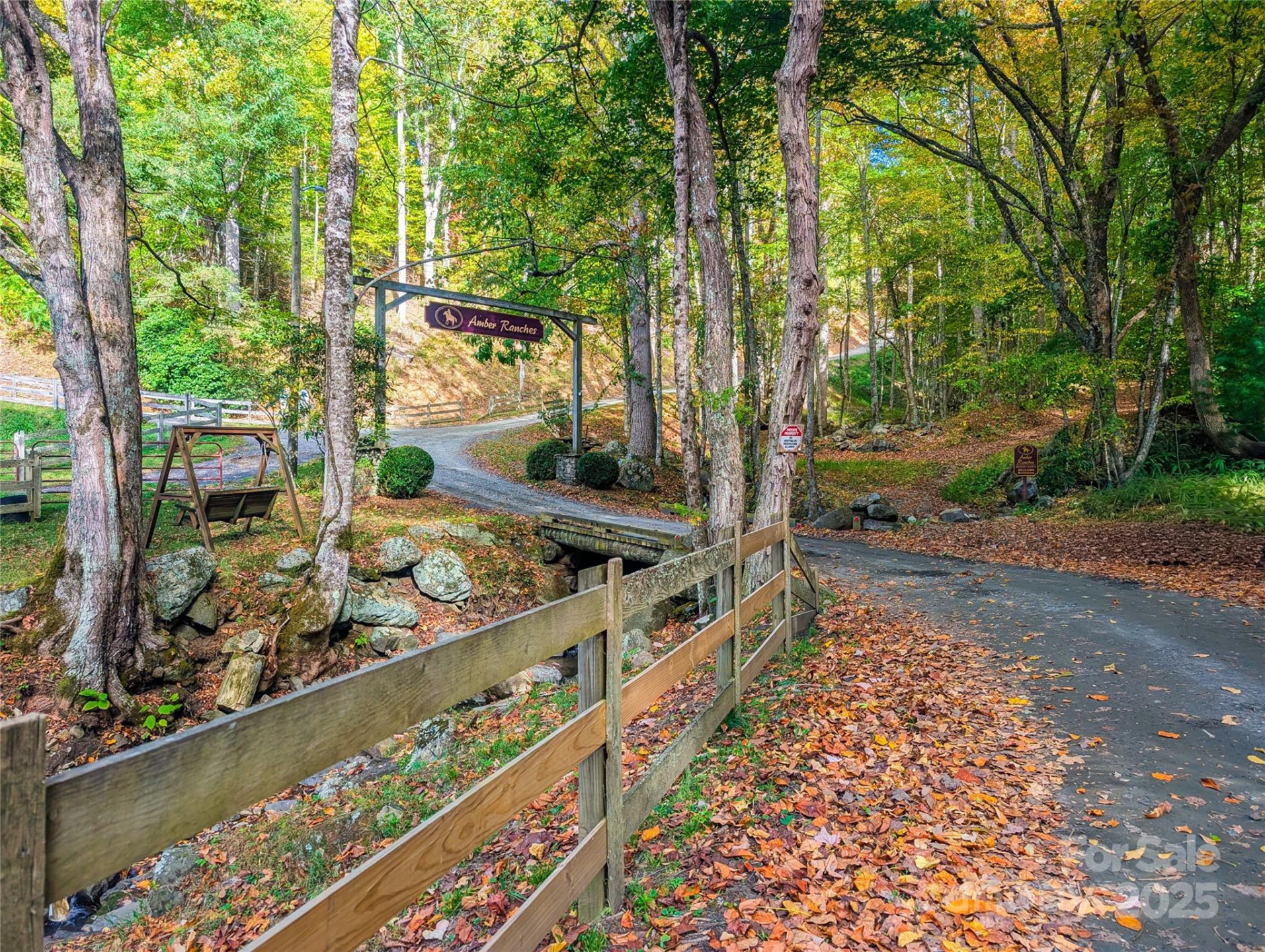 0000 Nicholas Knoll #41 - Photo 12